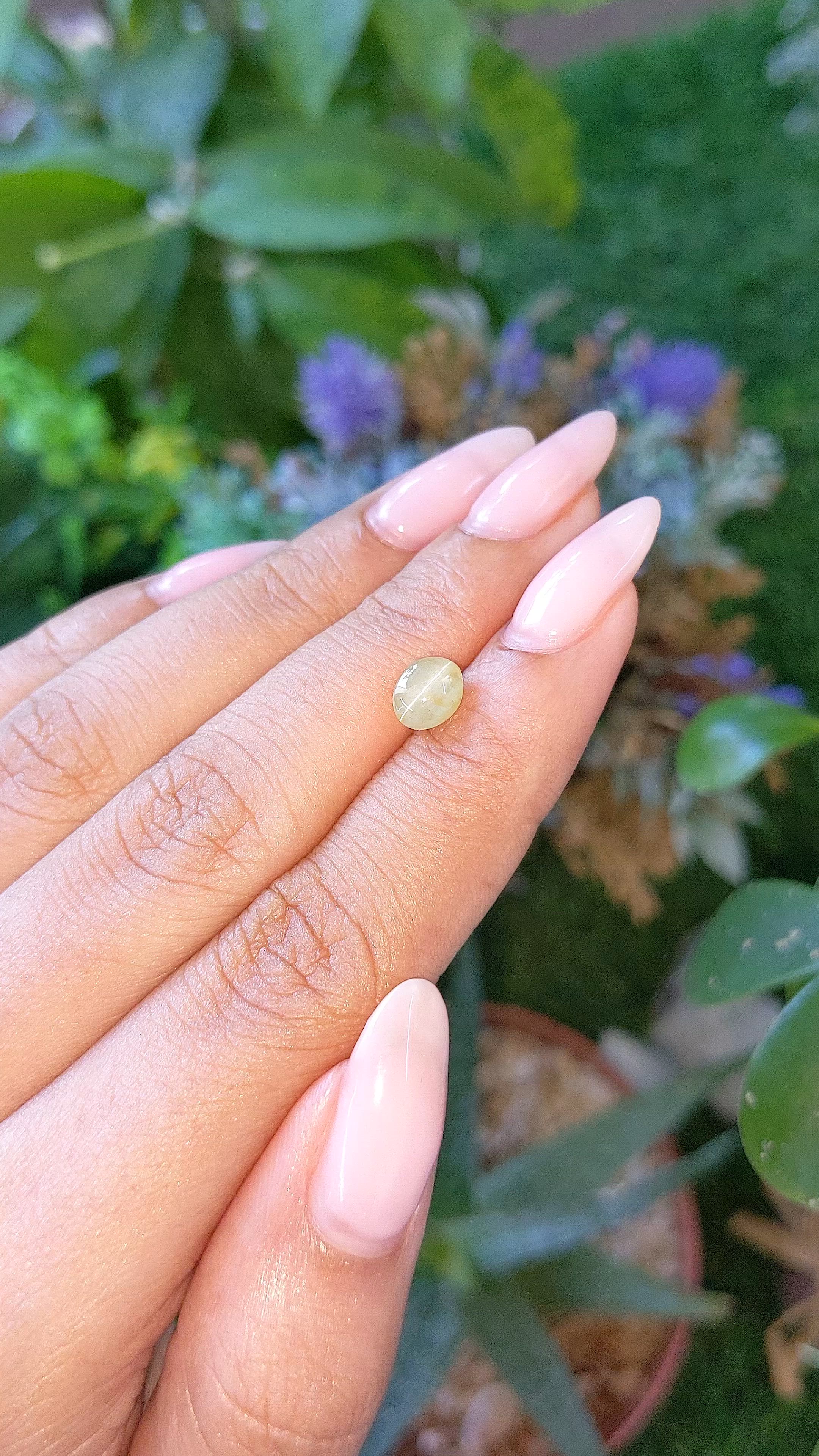 1.71 Ct. Greenish Yellow Cabochon Chrysoberyl from Ceylon (Sri Lanka) Size Video