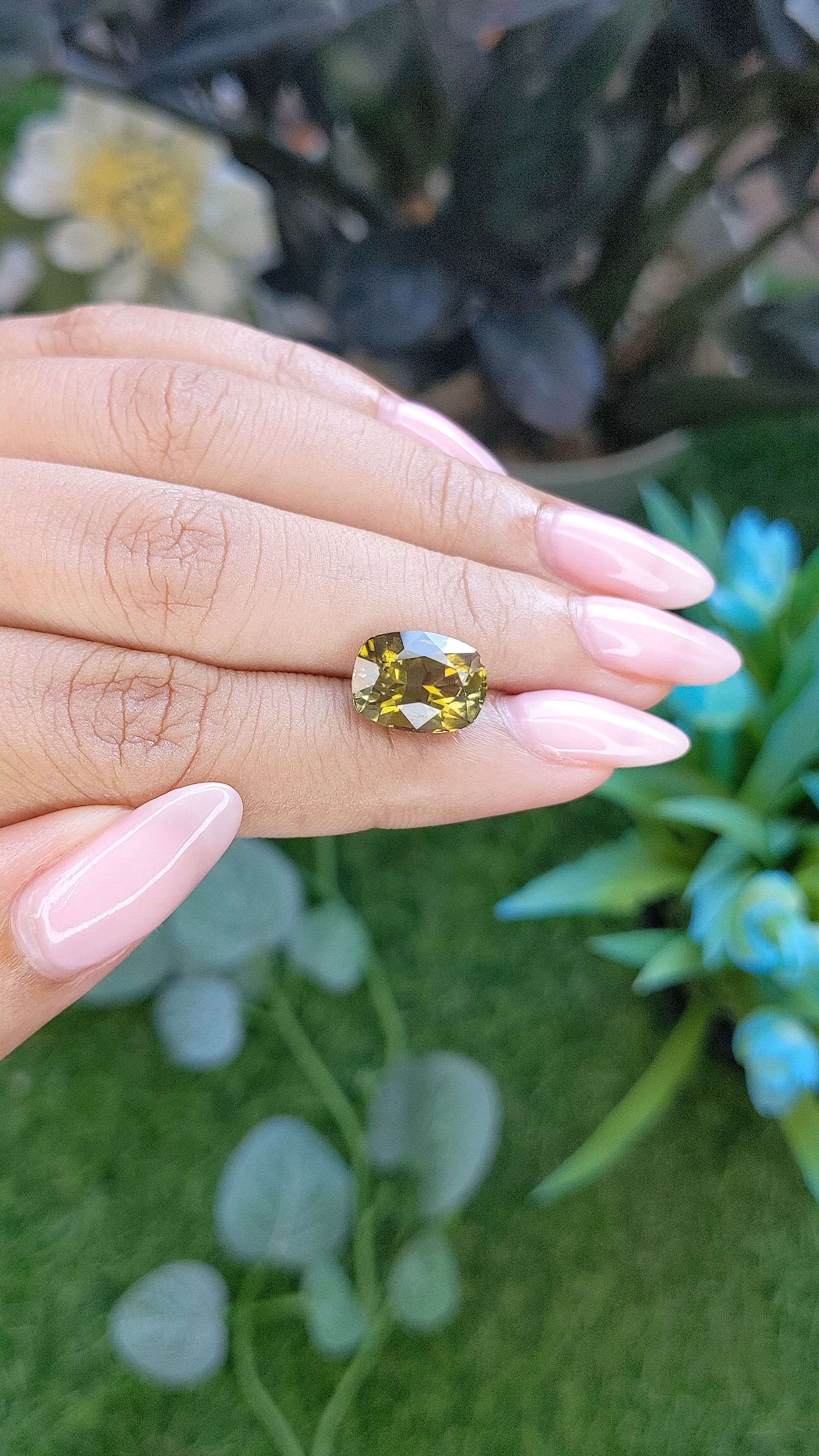 4.57 Ct. Yellowish Green Tourmaline from Ceylon (Sri Lanka) Size Video