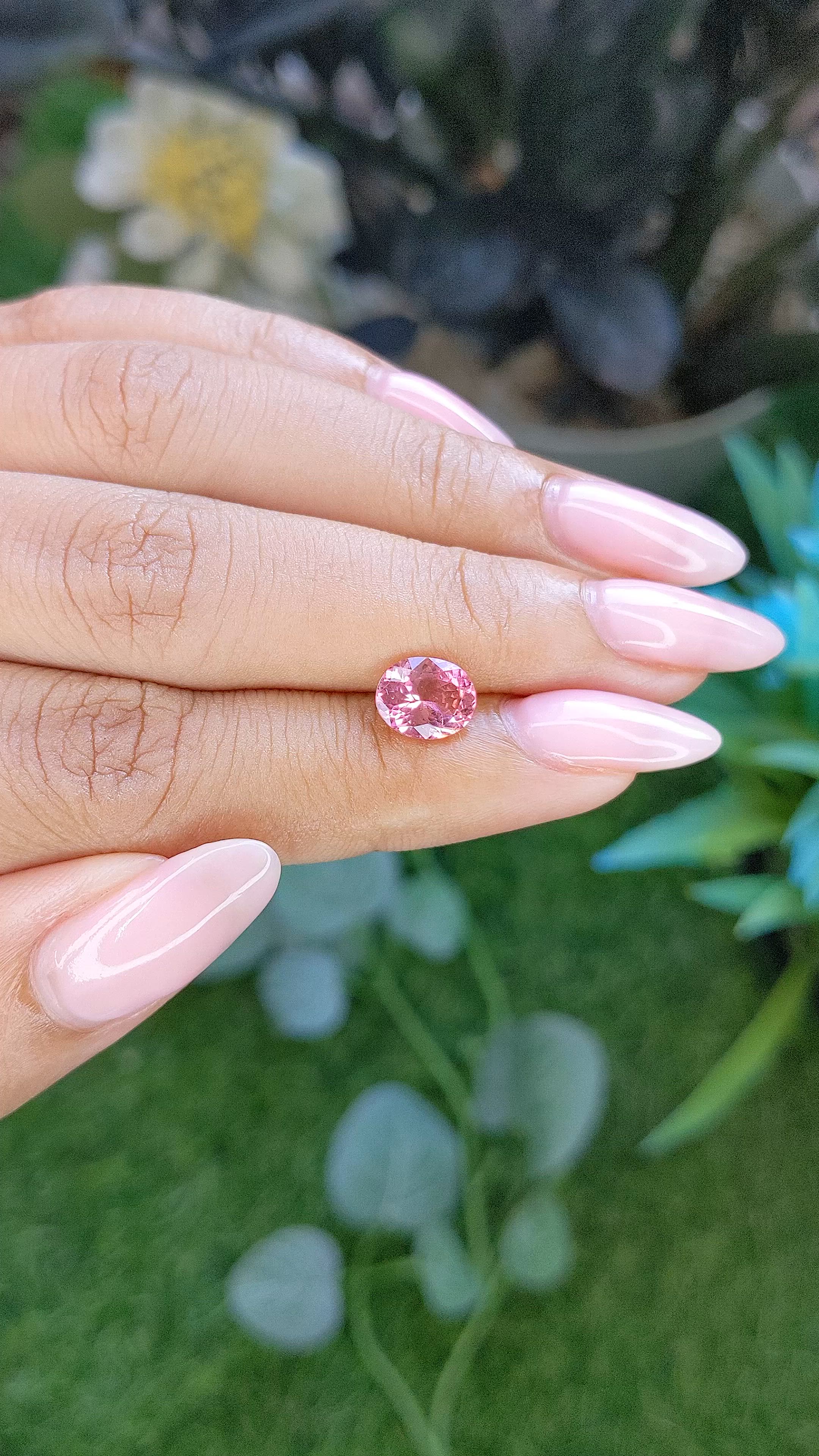 1.34 Ct. Pink Tourmaline from Ceylon (Sri Lanka) Size Video