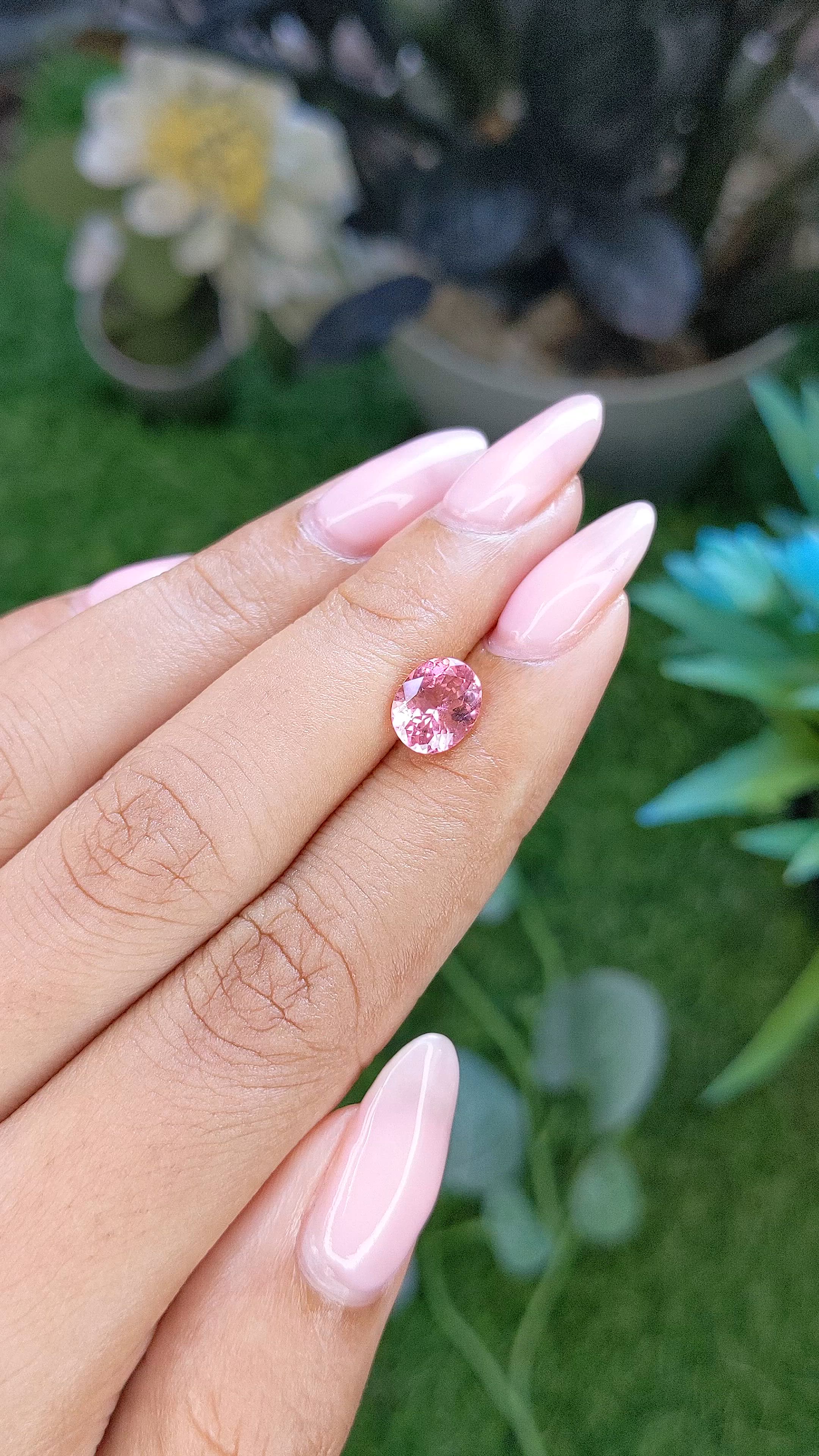 1.34 Ct. Pink Tourmaline from Ceylon (Sri Lanka) Size Video