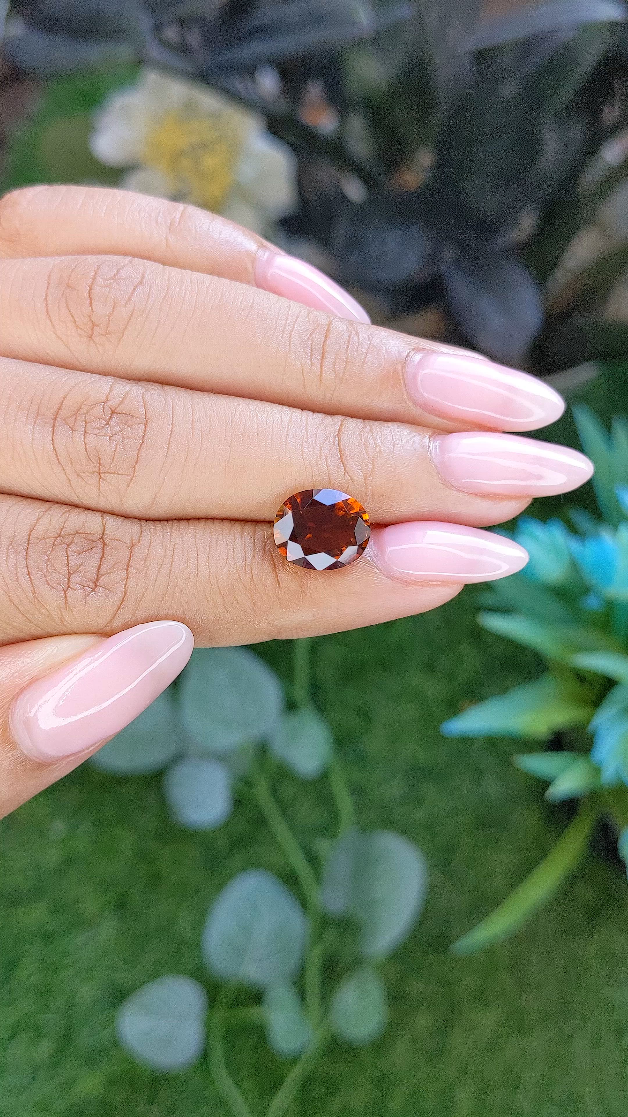 3.00 Ct. Reddish Brown Tourmaline from Ceylon (Sri Lanka) Size Video
