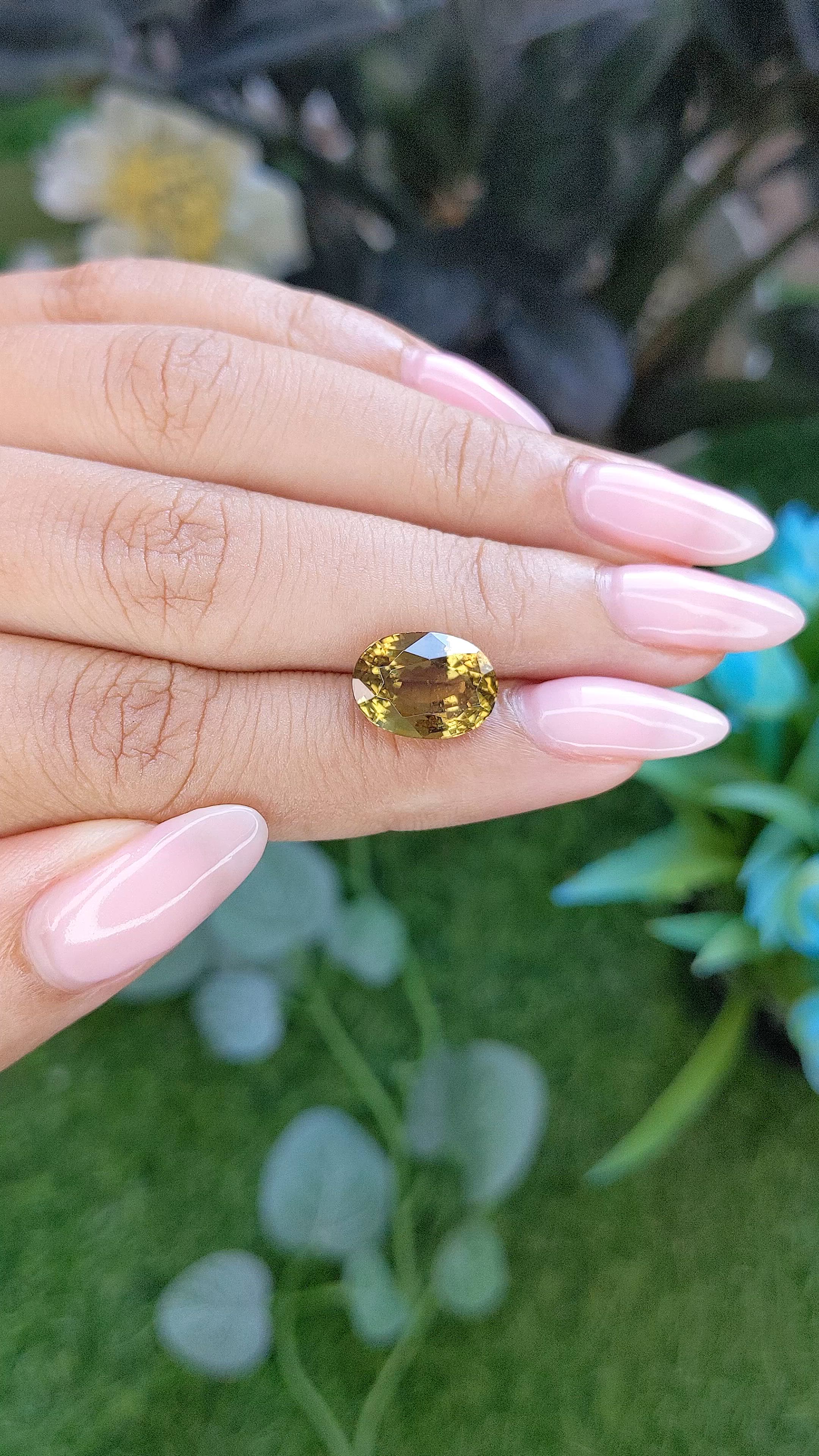 5.64 Ct. Greenish Yellow Zircon from Ceylon (Sri Lanka) Size Video