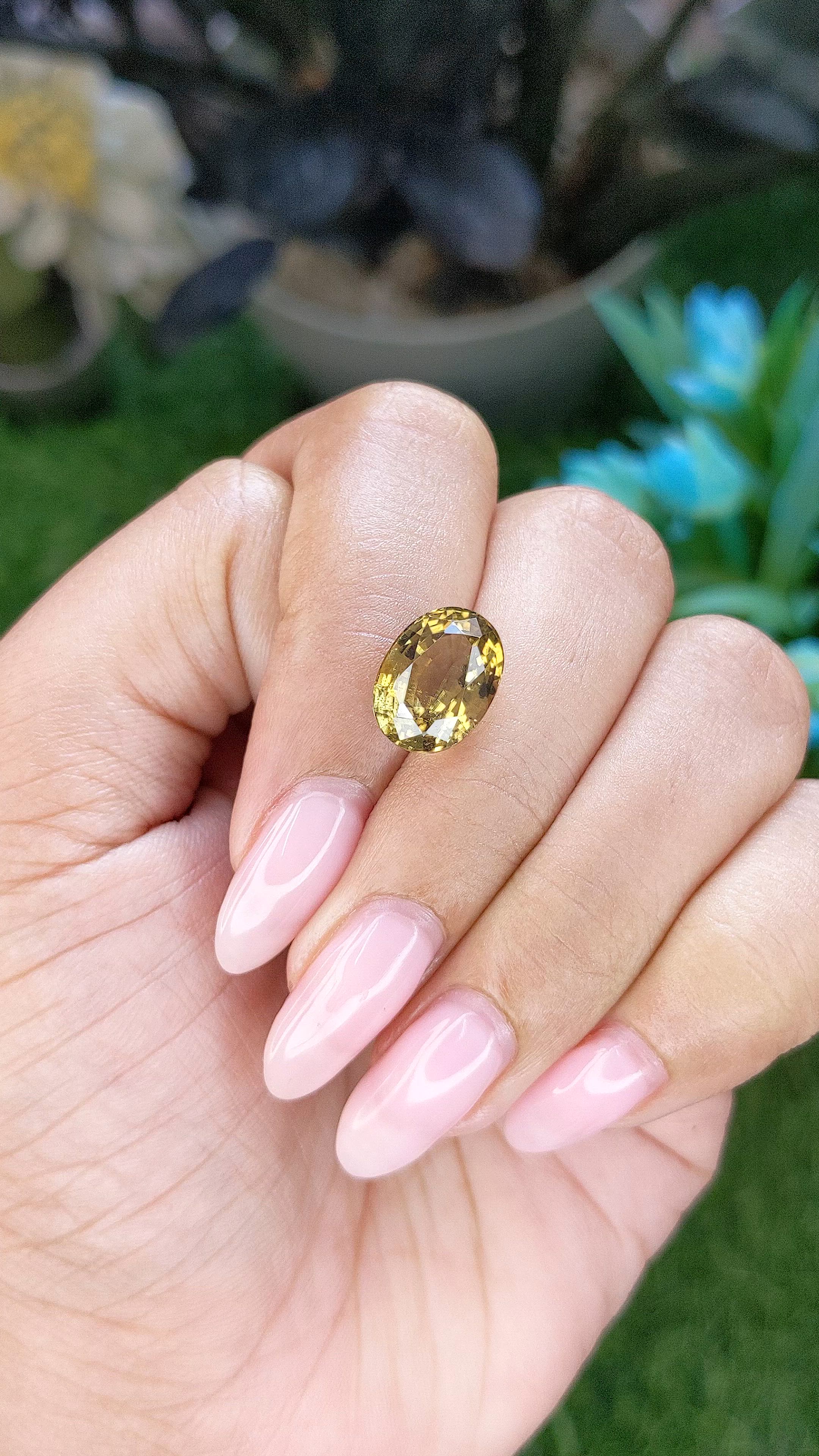 5.64 Ct. Greenish Yellow Zircon from Ceylon (Sri Lanka) Size Video