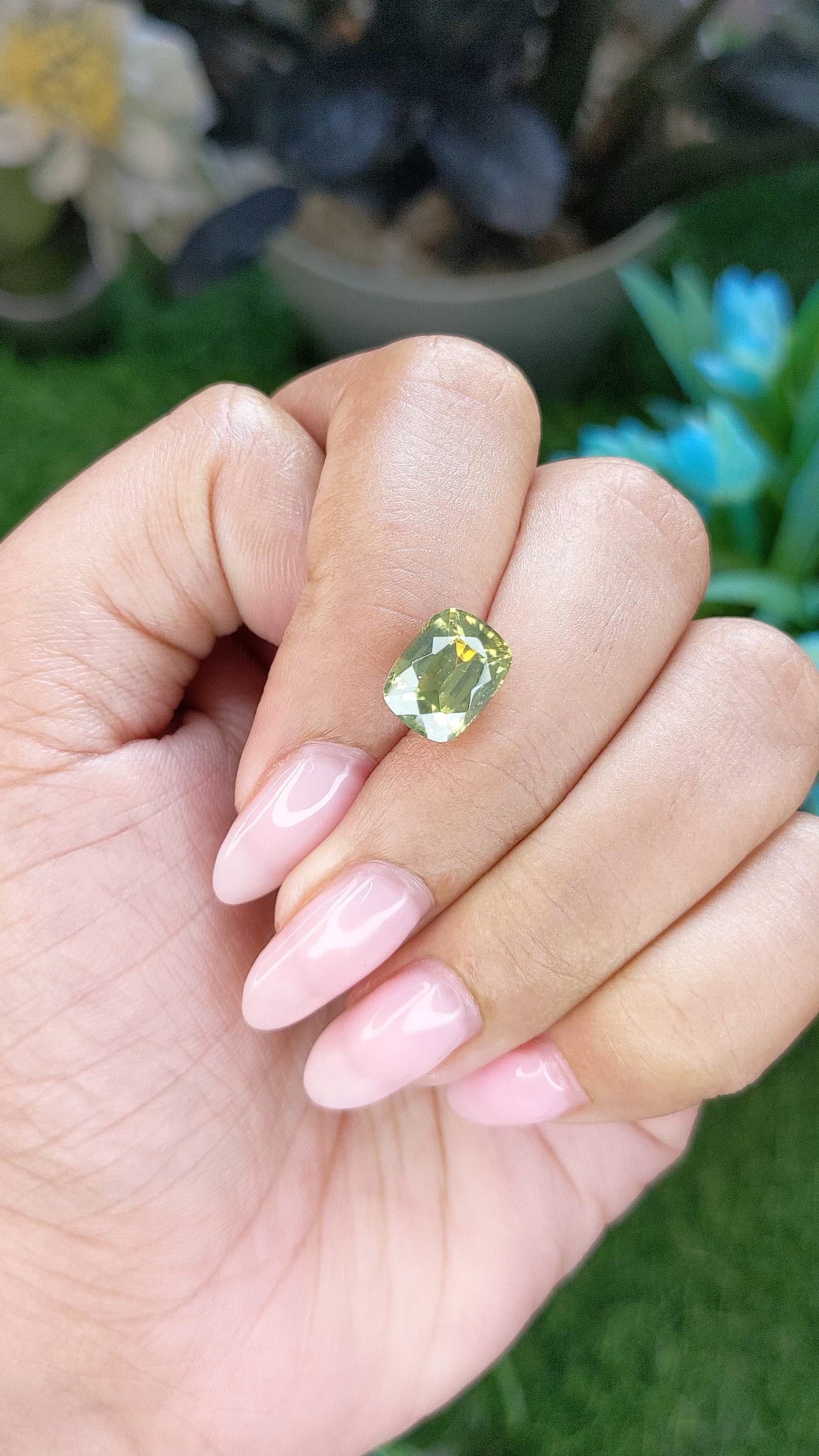 4.50 Ct. Yellowish Green Zircon from Ceylon (Sri Lanka) Size Video