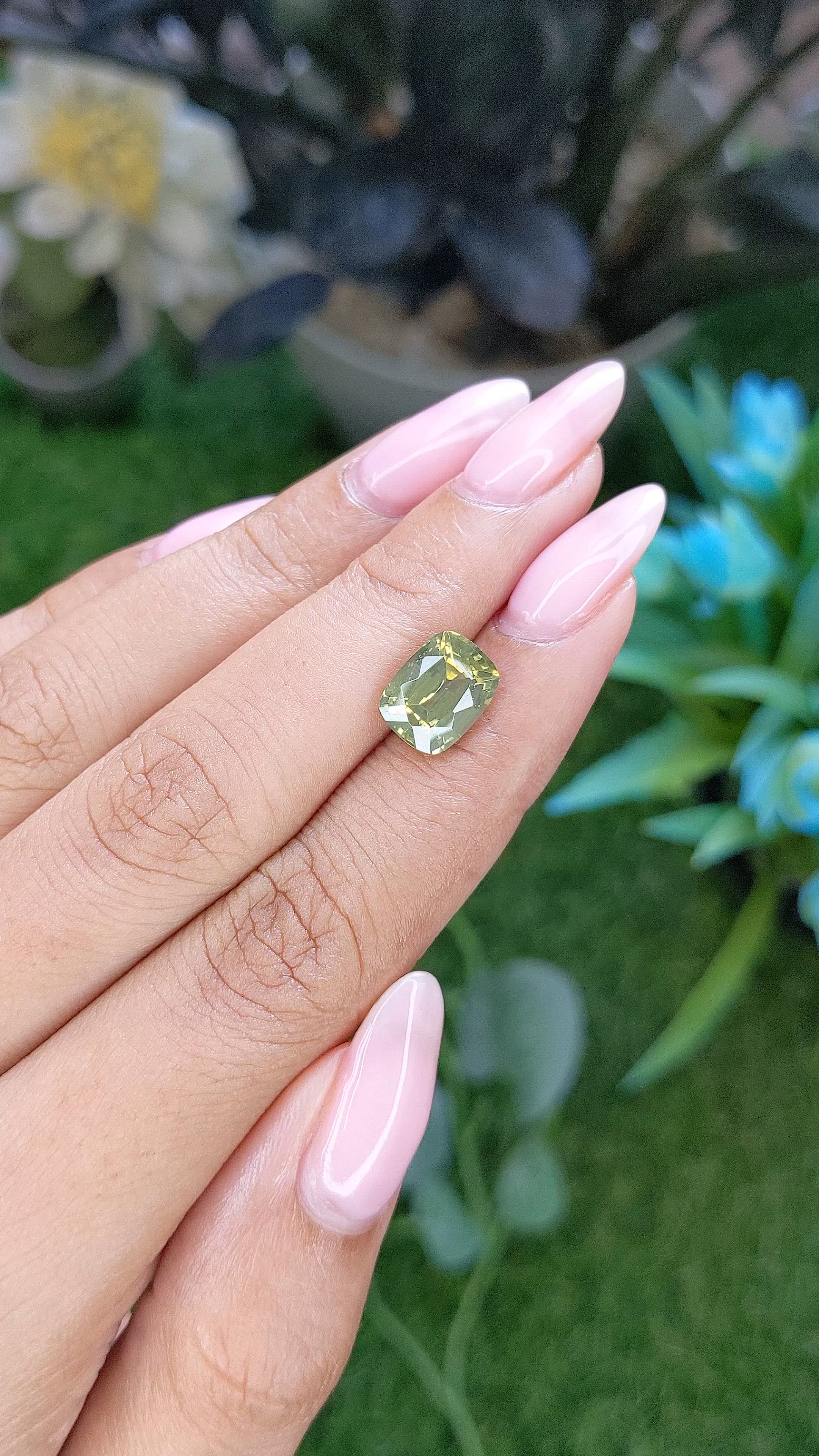 4.50 Ct. Yellowish Green Zircon from Ceylon (Sri Lanka) Size Video