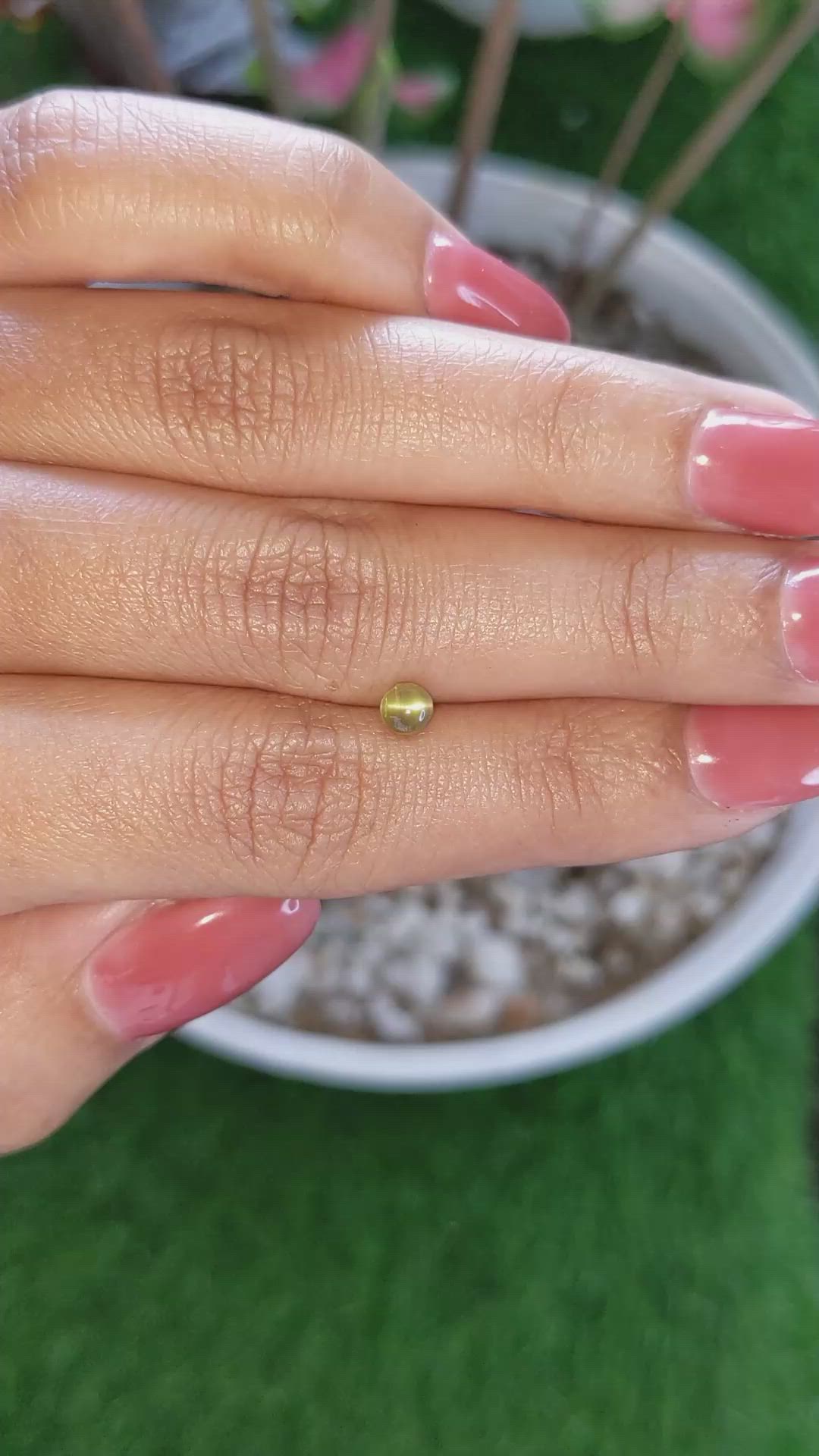 0.65 Ct. Greenish Yellow Cabochon Chrysoberyl from Ceylon (Sri Lanka) Size Video