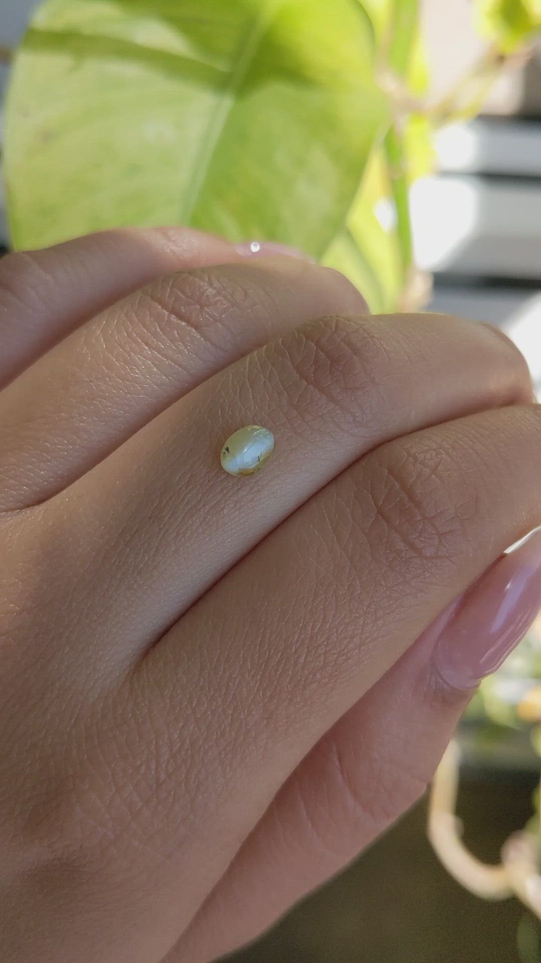 0.75 Ct. Greenish Yellow Cabochon Chrysoberyl from Ceylon (Sri Lanka) Size Video
