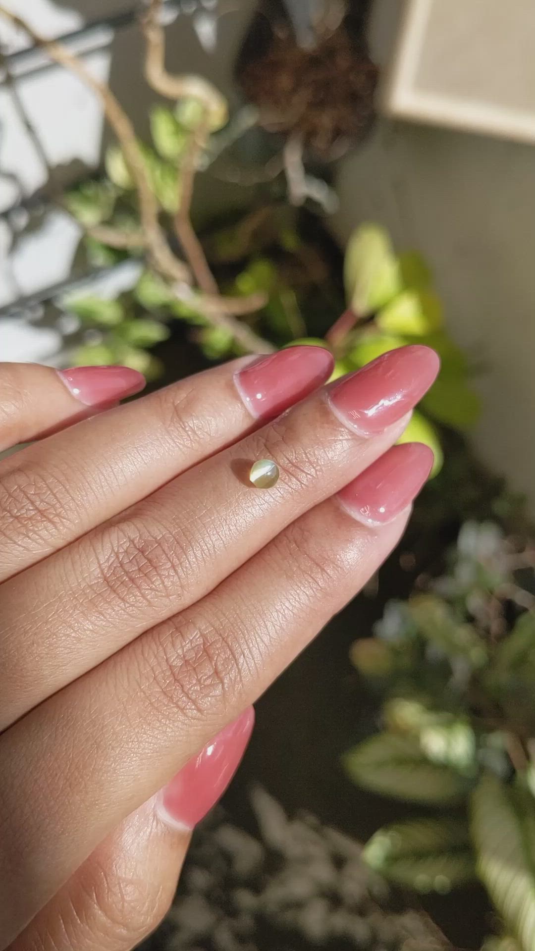 0.64 Ct. Yellow Cabochon Chrysoberyl from Ceylon (Sri Lanka) Size Video