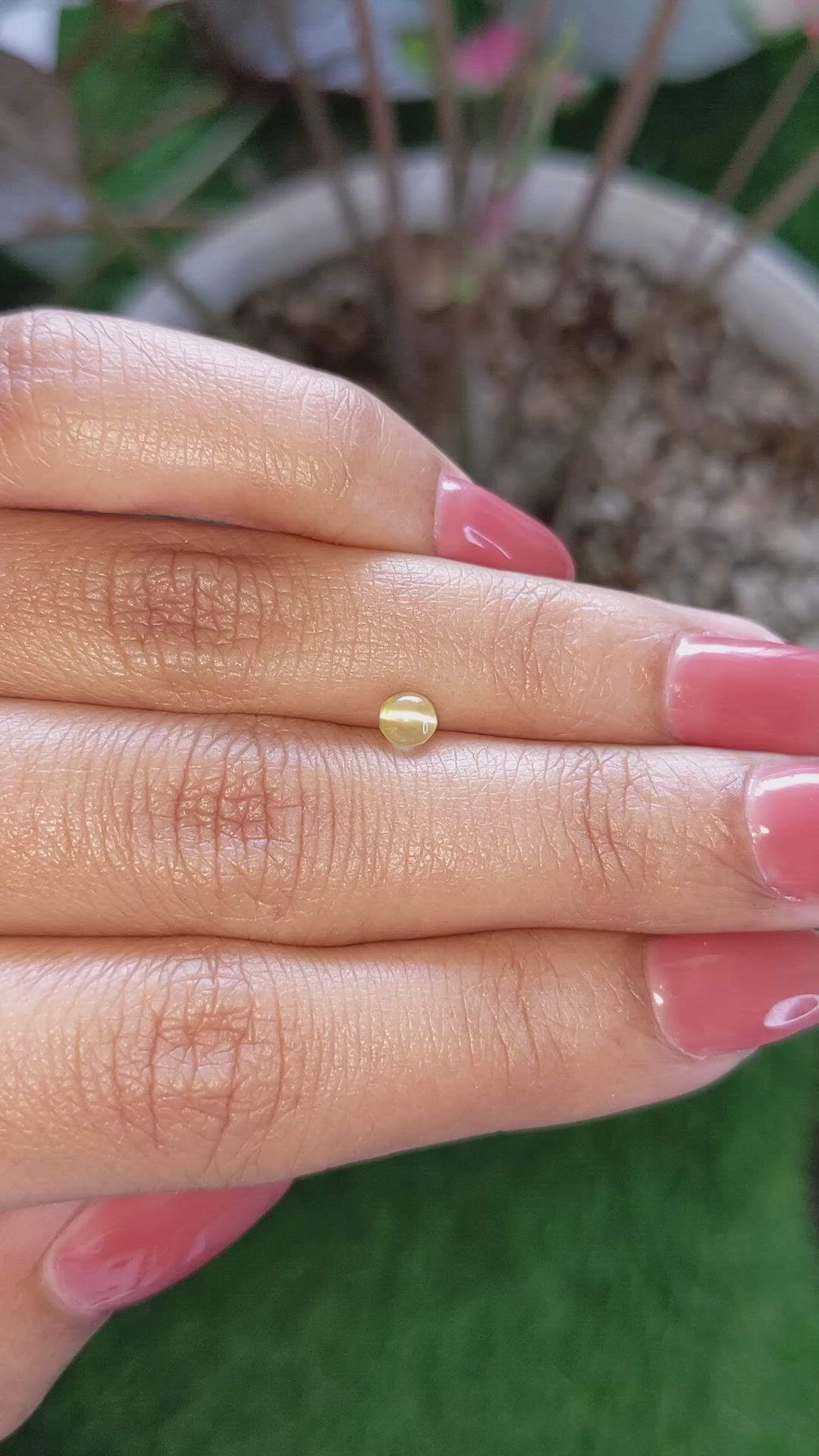 0.64 Ct. Yellow Cabochon Chrysoberyl from Ceylon (Sri Lanka) Size Video