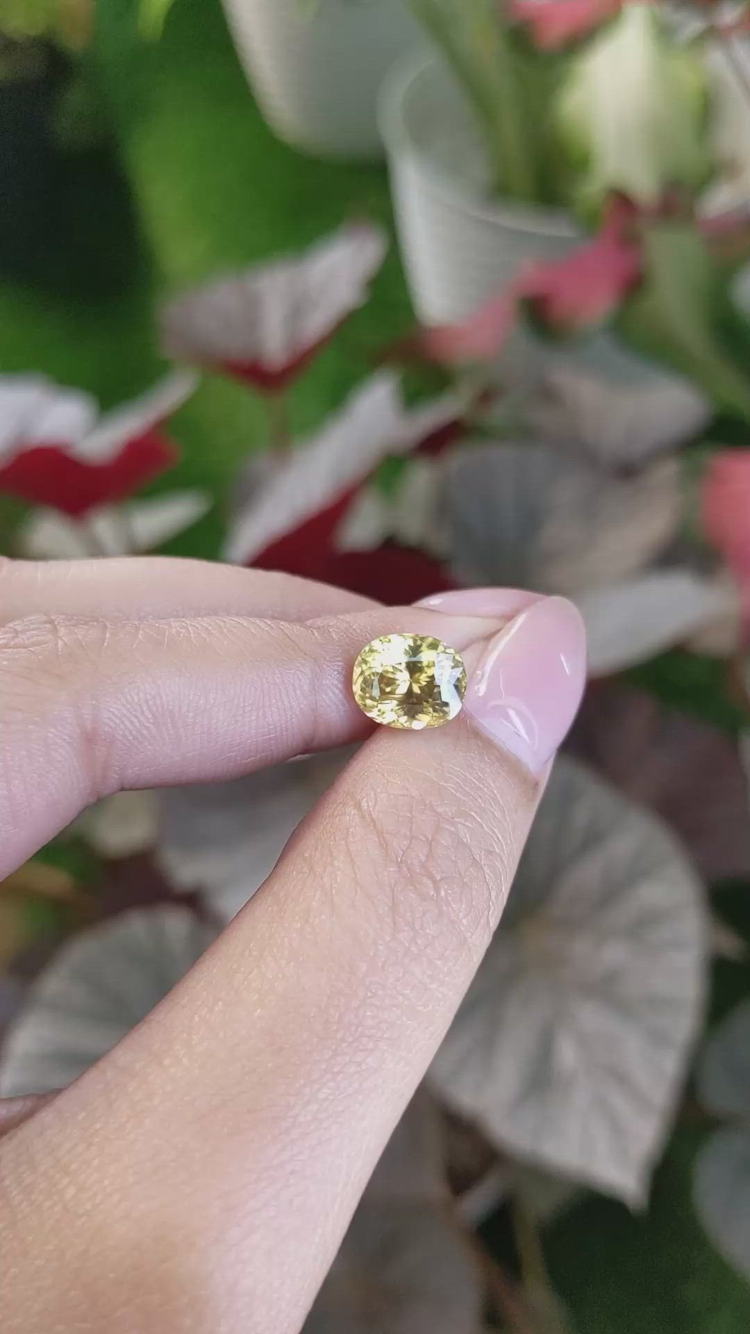 4.35 Ct. Brownish Yellow Zircon from Ceylon (Sri Lanka) Size Video