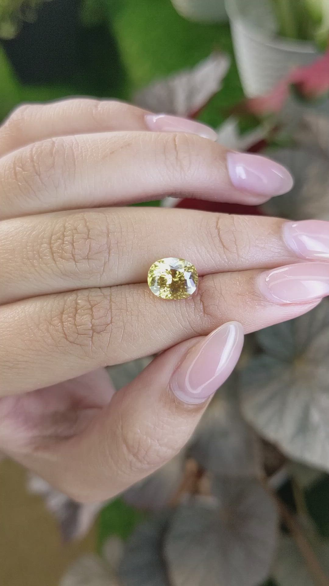 4.35 Ct. Brownish Yellow Zircon from Ceylon (Sri Lanka) Size Video
