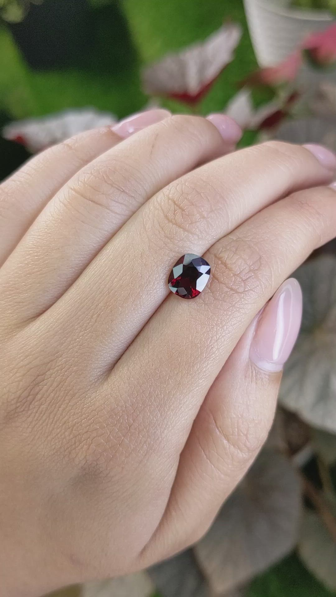 2.73 Ct. Red Garnet from Ceylon (Sri Lanka) Size Video