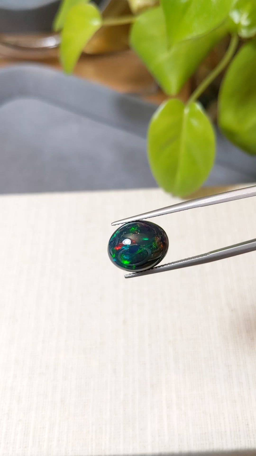 4.95 Ct. Multi Color Cabochon Black Opal from Ethiopia Size Video