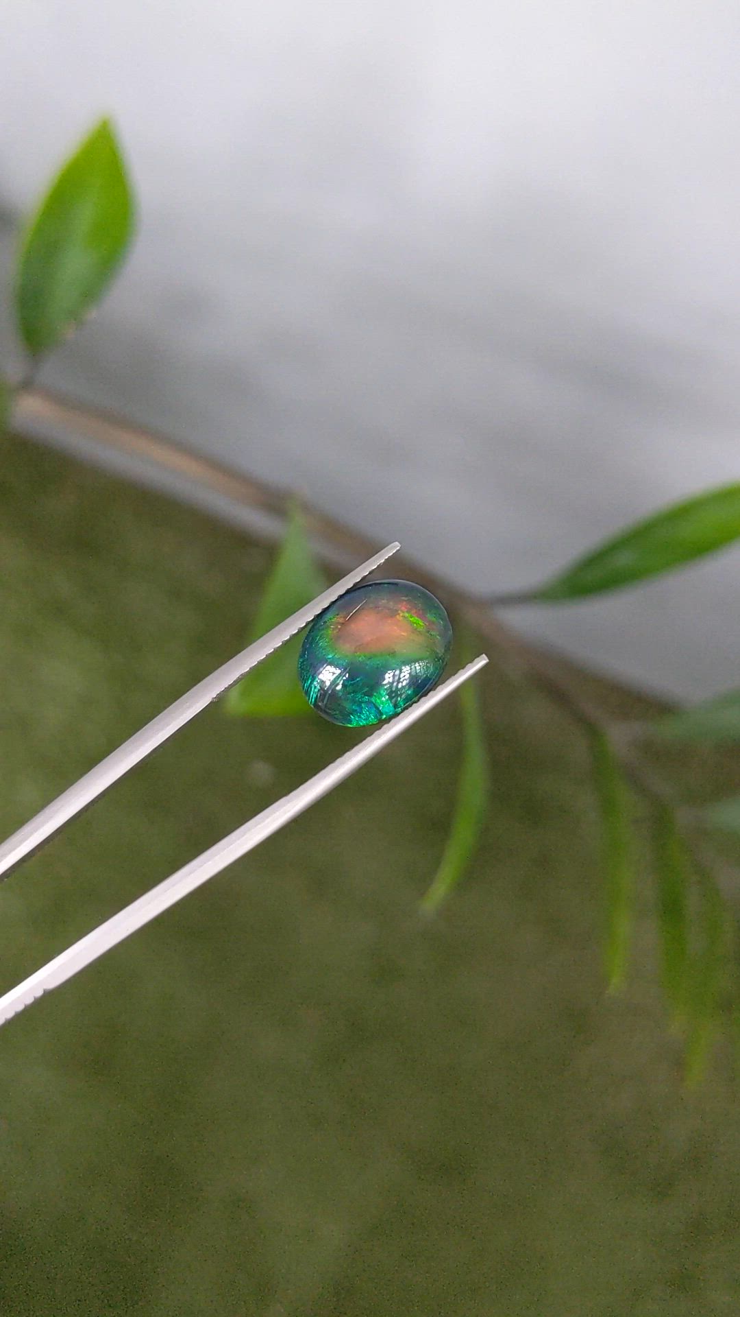3.44 Ct. Multi Color Cabochon Black Opal from Ethiopia Size Video