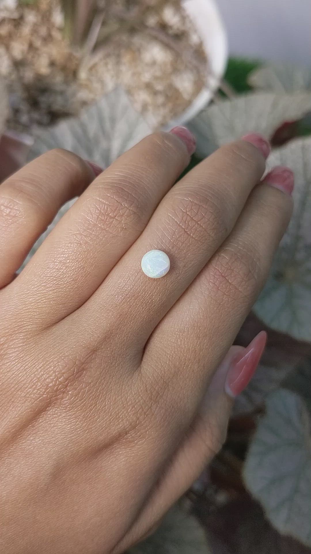 0.64 Ct. Multi Color Cabochon White Opal from Brazil Size Video