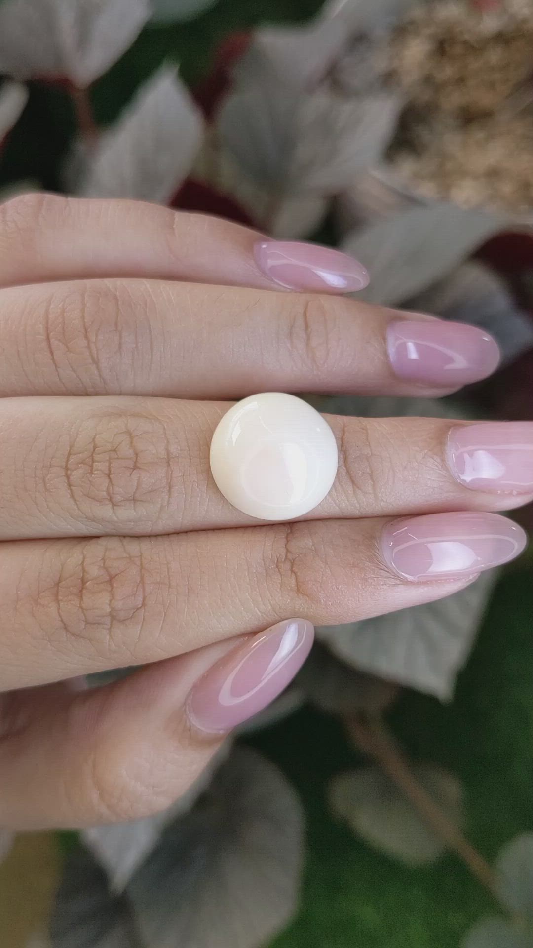 10.78 Ct. Salmon and White Cabochon Coral from Italy Size Video