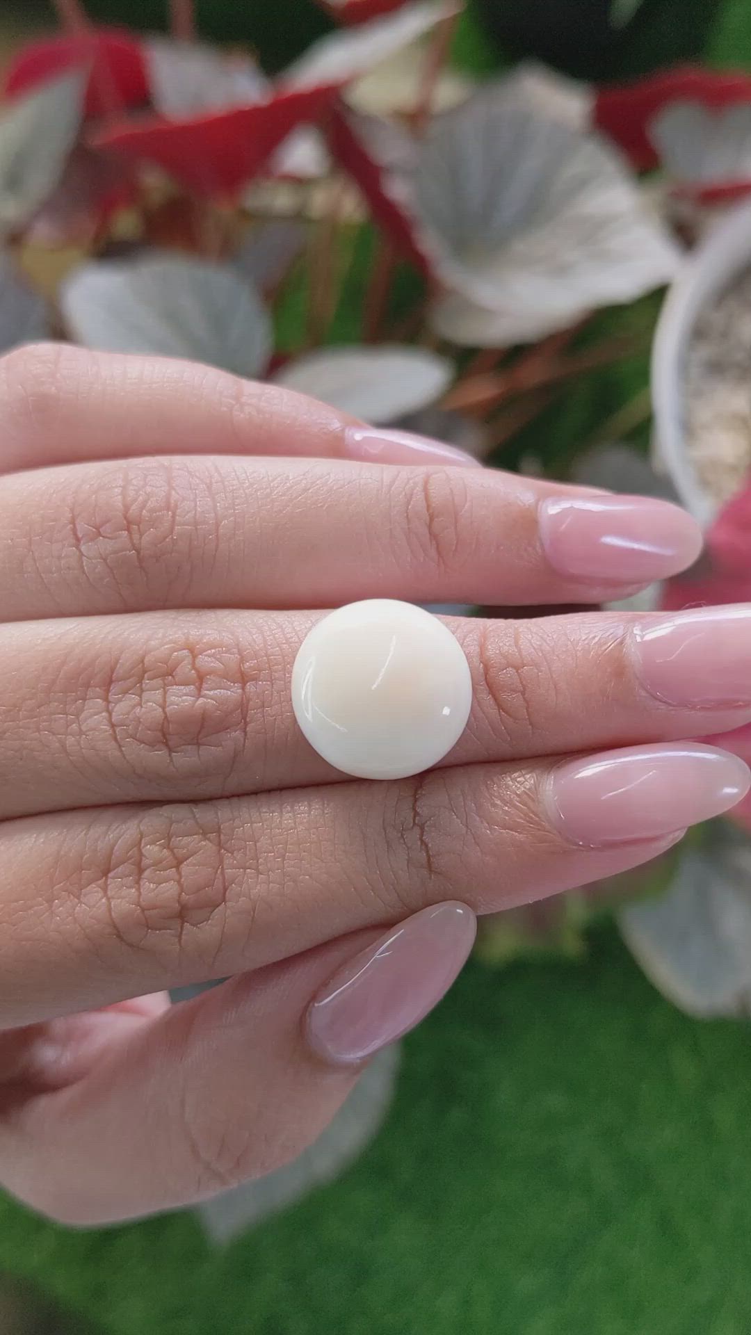 9.88 Ct. Salmon and White Cabochon Coral from Italy Size Video