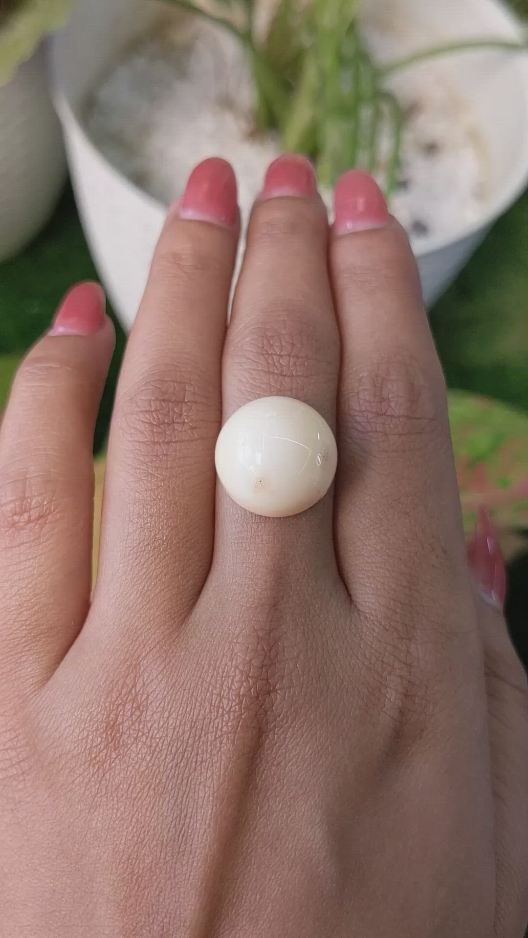 16.65 Ct. Salmon and White Cabochon Coral from Italy Size Video