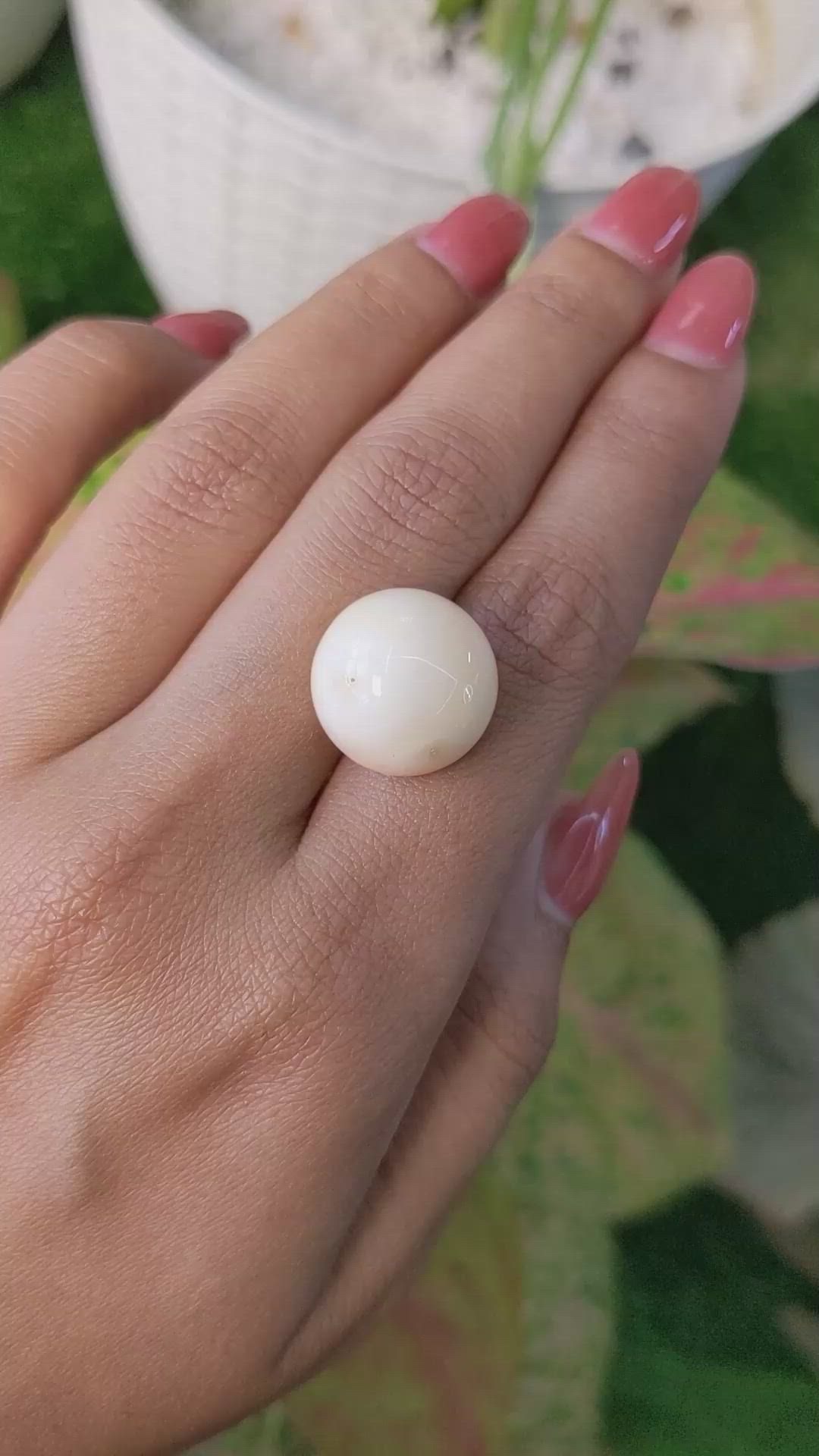 16.65 Ct. Salmon and White Cabochon Coral from Italy Size Video