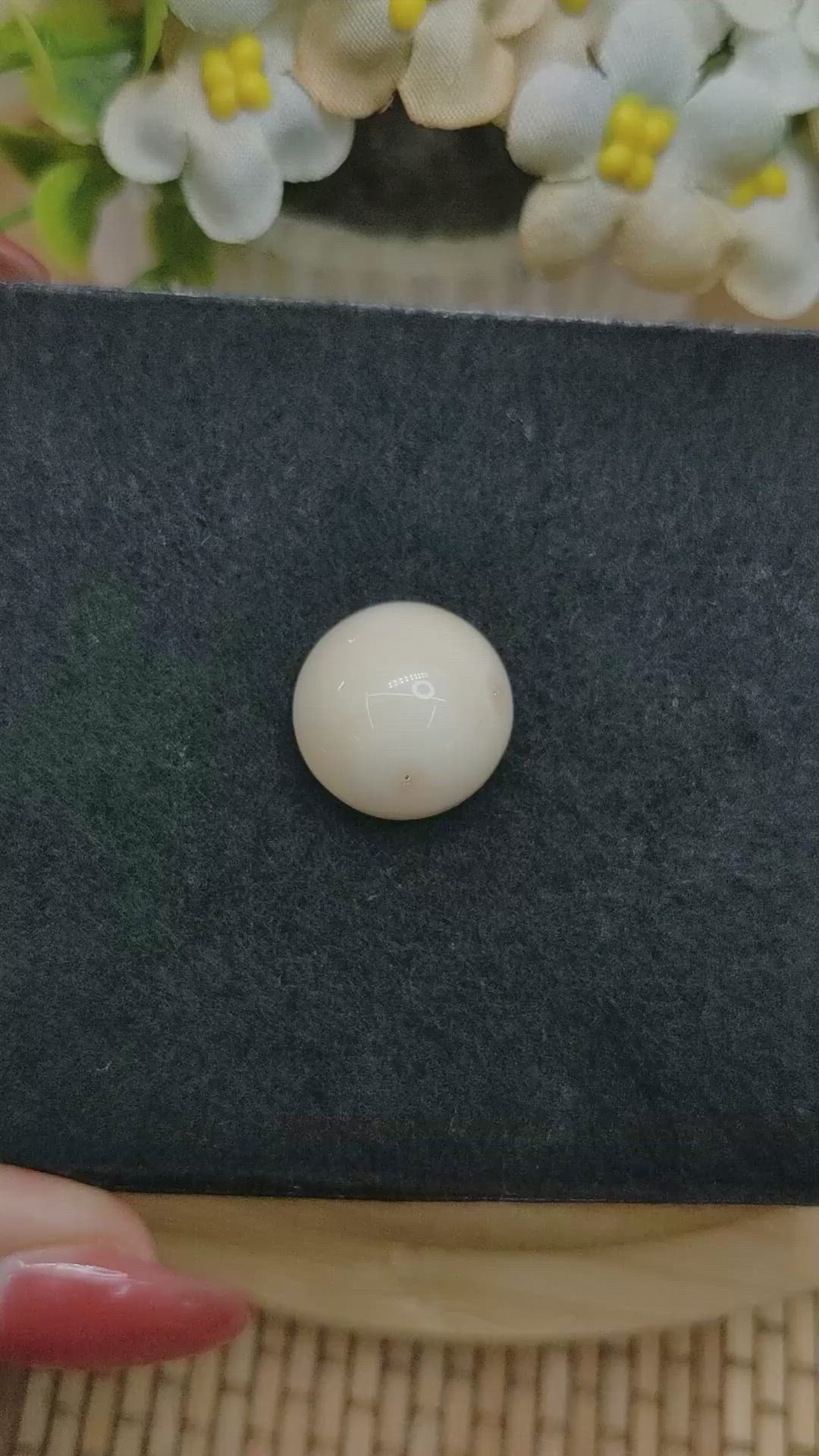 16.65 Ct. Salmon and White Cabochon Coral from Italy Size Video