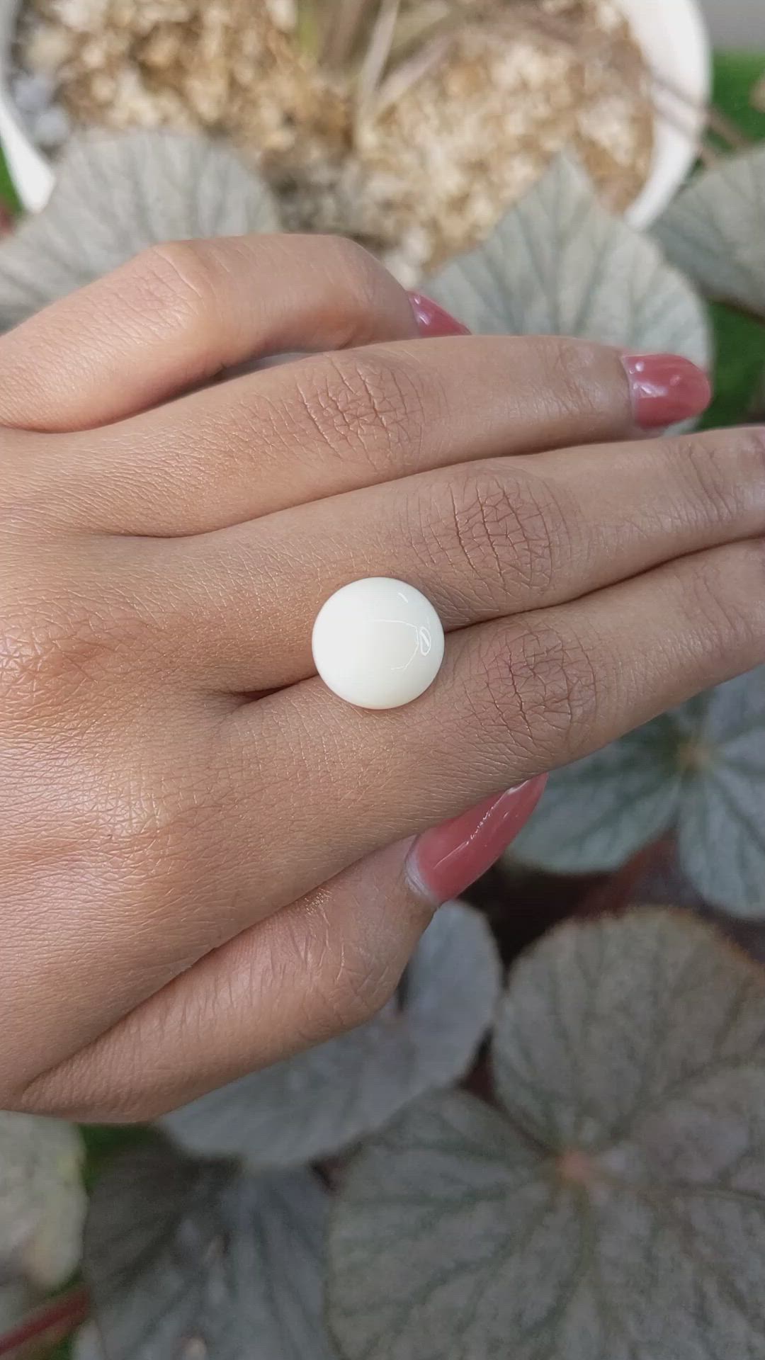 8.41 Ct. Salmon and White Cabochon Coral from Italy Size Video