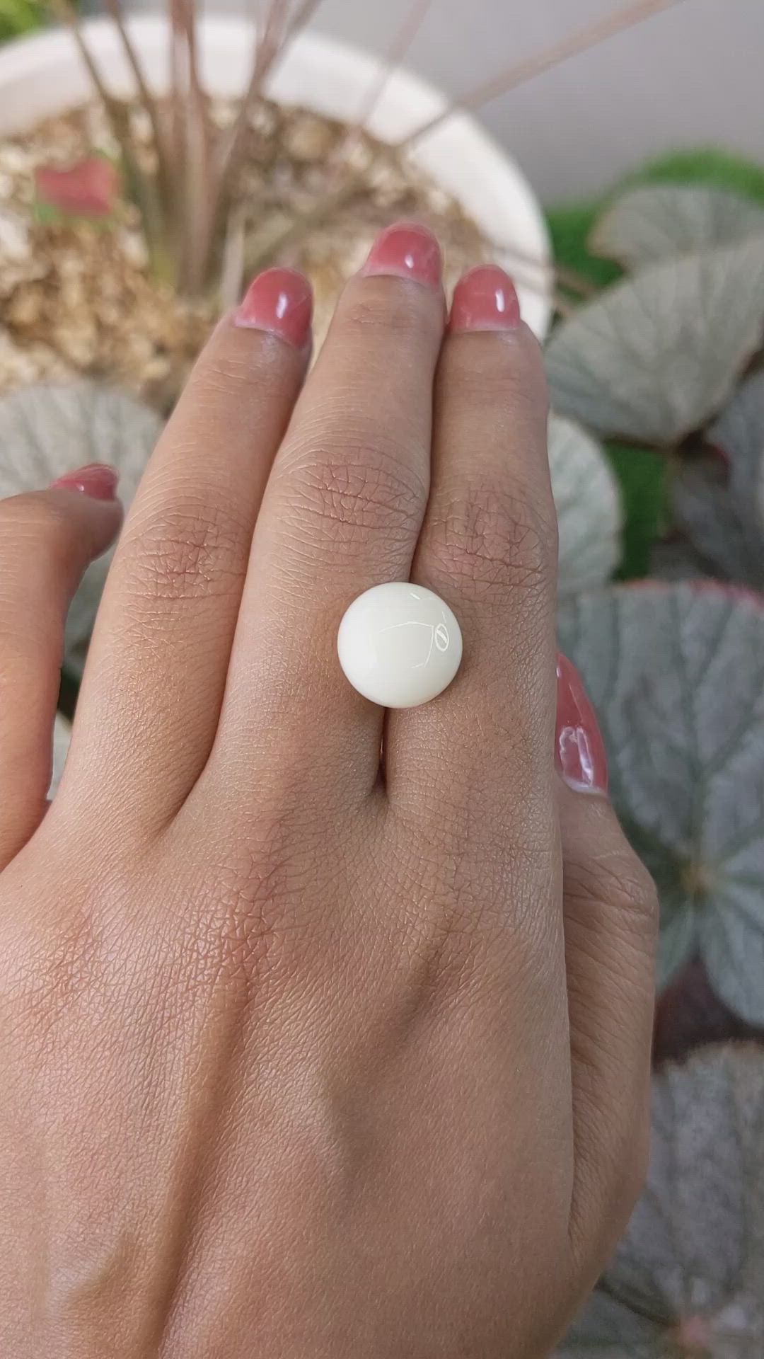 8.41 Ct. Salmon and White Cabochon Coral from Italy Size Video