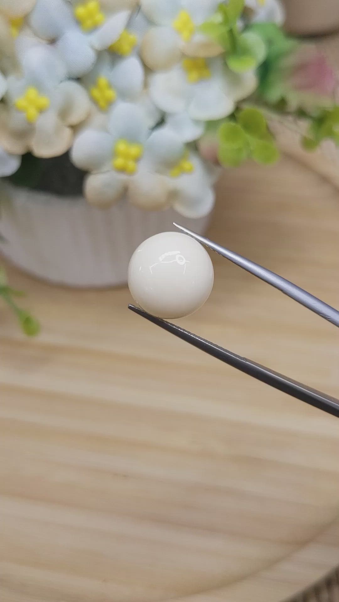 8.41 Ct. Salmon and White Cabochon Coral from Italy Size Video
