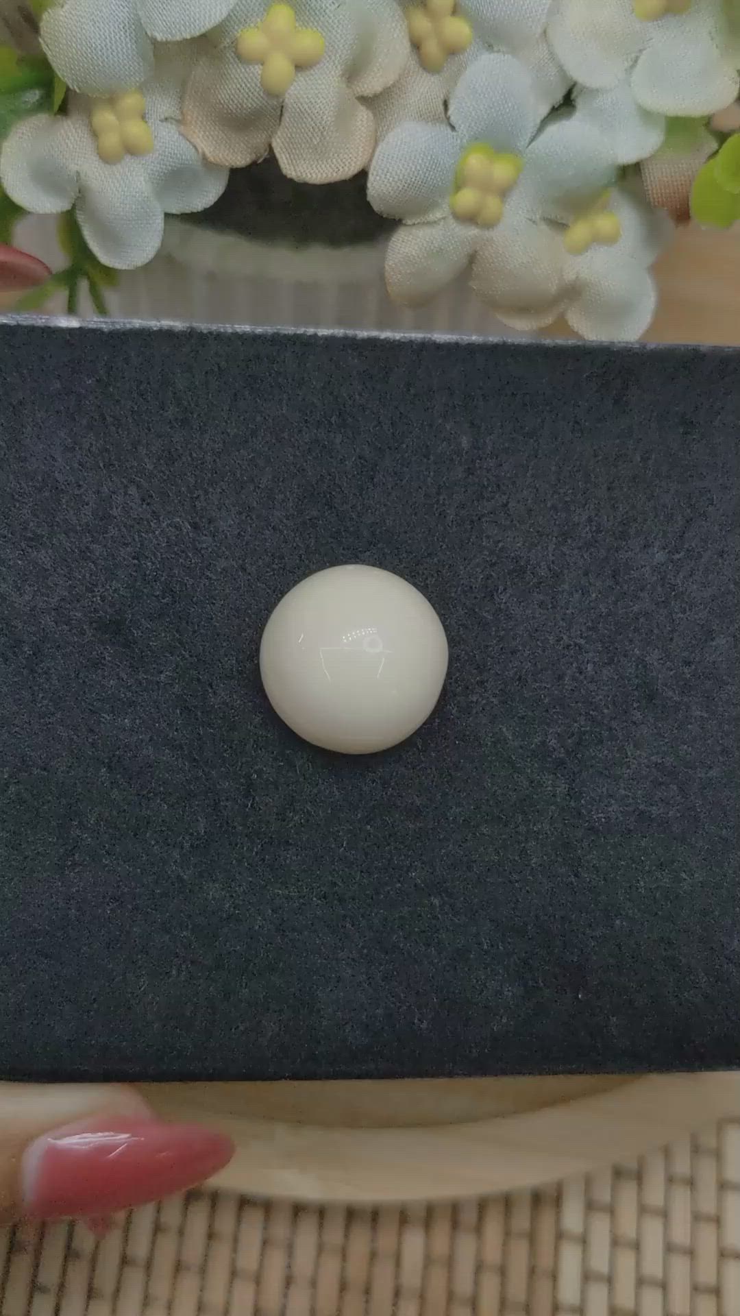 21.60 Ct. Salmon and White Cabochon Coral from Italy Size Video