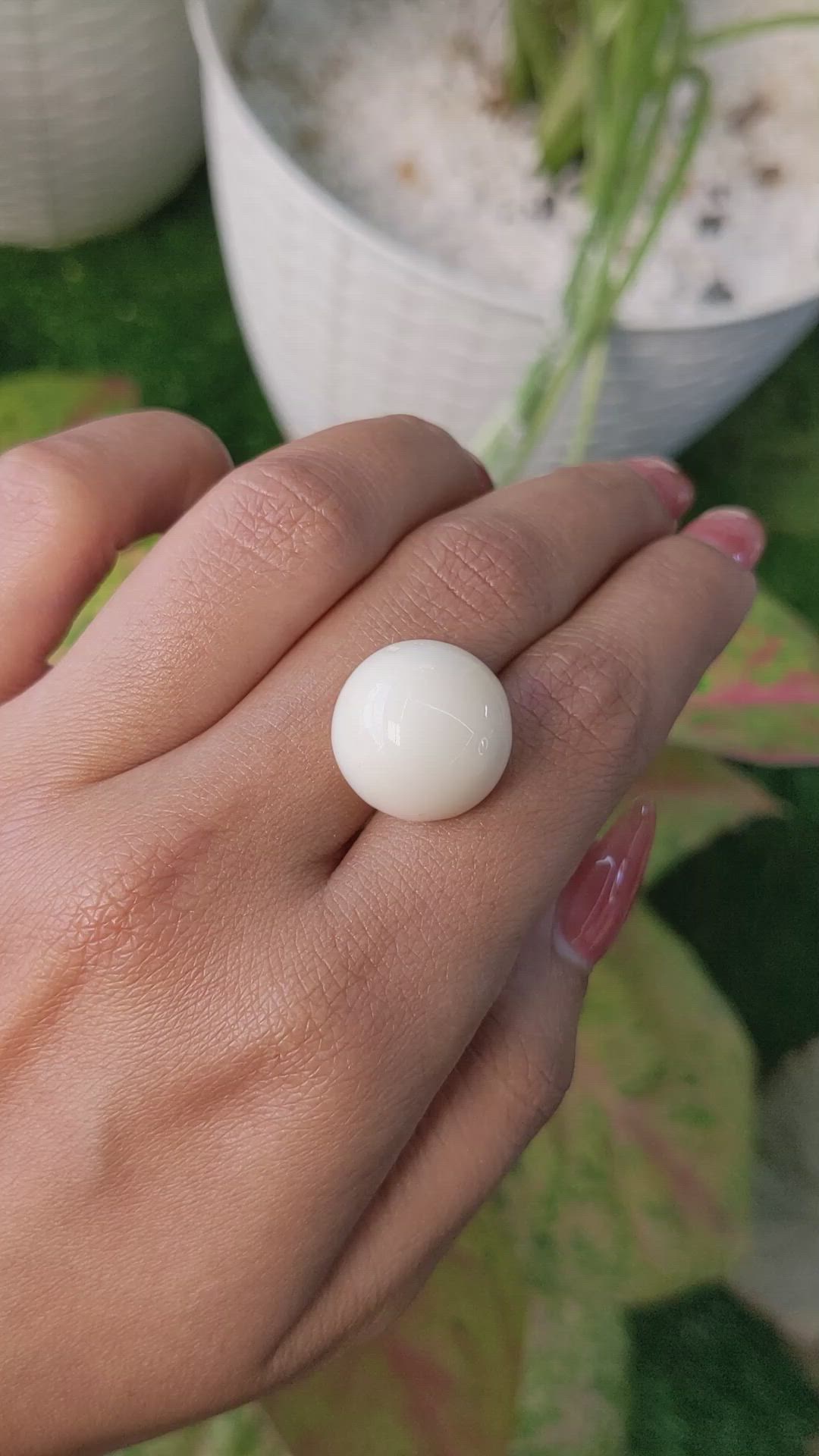 21.60 Ct. Salmon and White Cabochon Coral from Italy Size Video