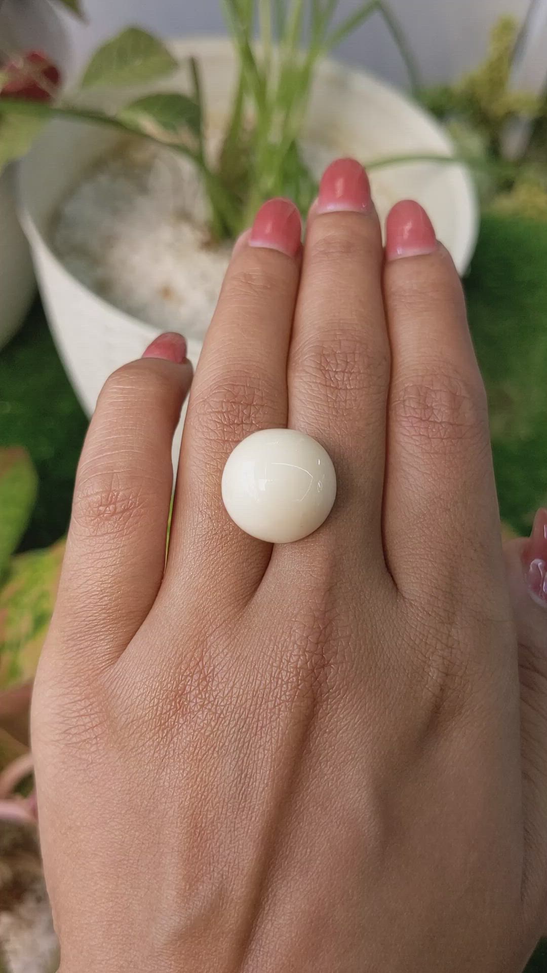21.60 Ct. Salmon and White Cabochon Coral from Italy Size Video