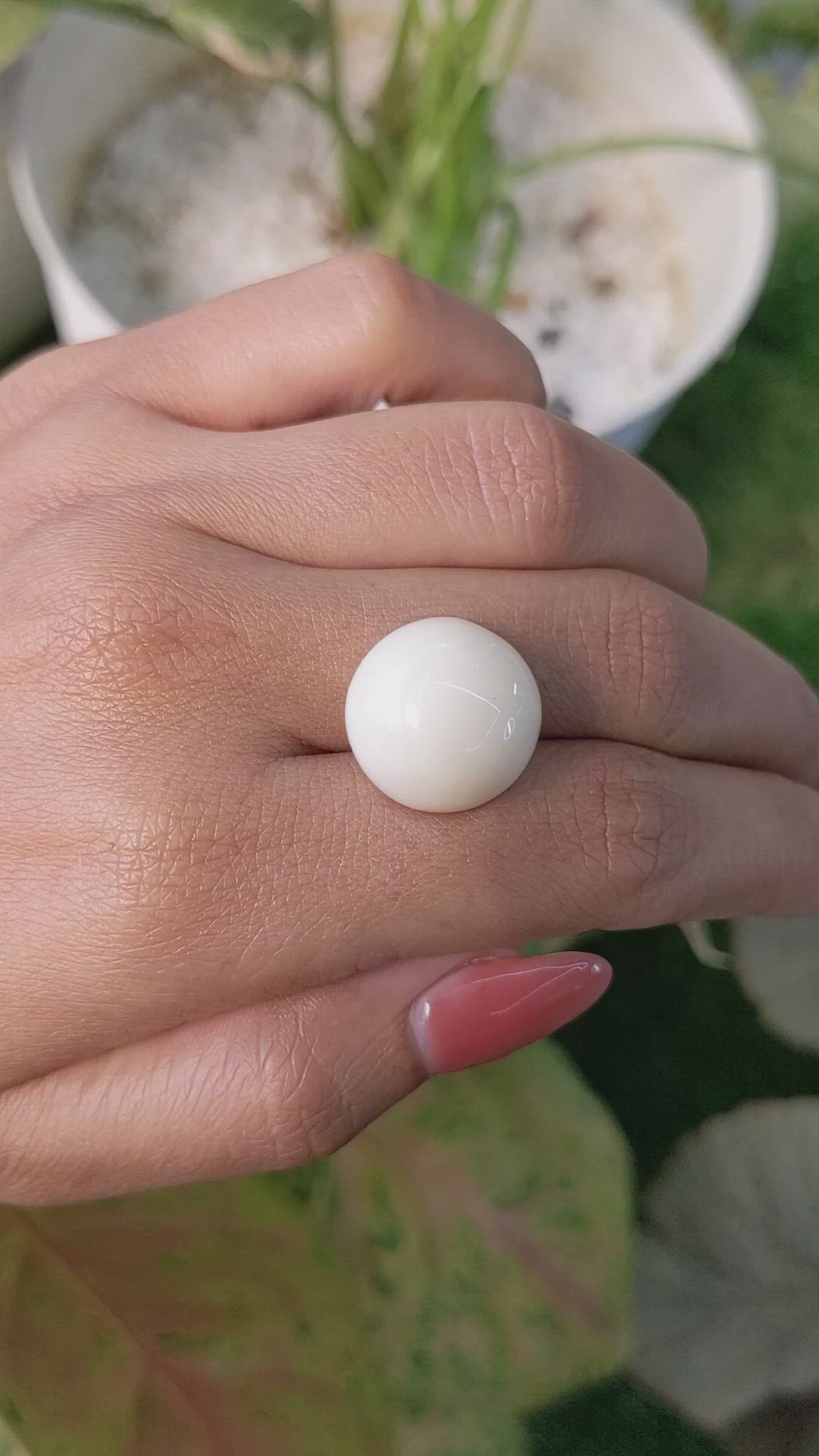 21.60 Ct. Salmon and White Cabochon Coral from Italy Size Video
