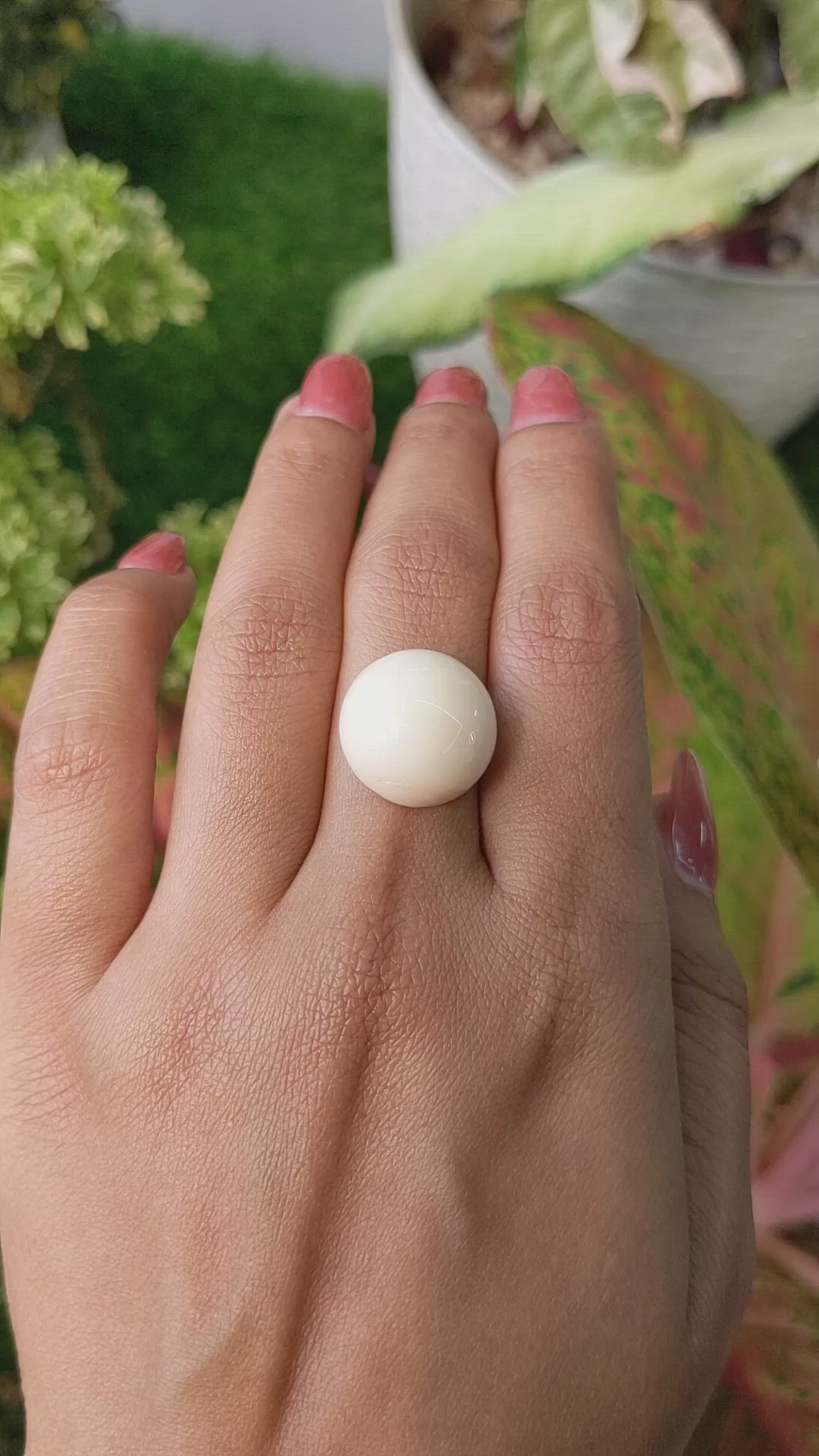 17.38 Ct. Salmon and White Cabochon Coral from Italy Size Video