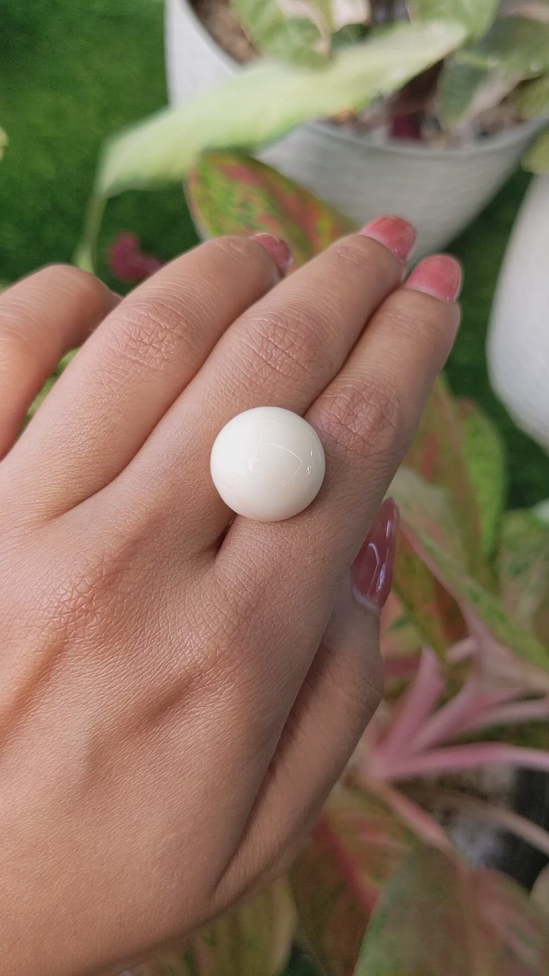 17.38 Ct. Salmon and White Cabochon Coral from Italy Size Video