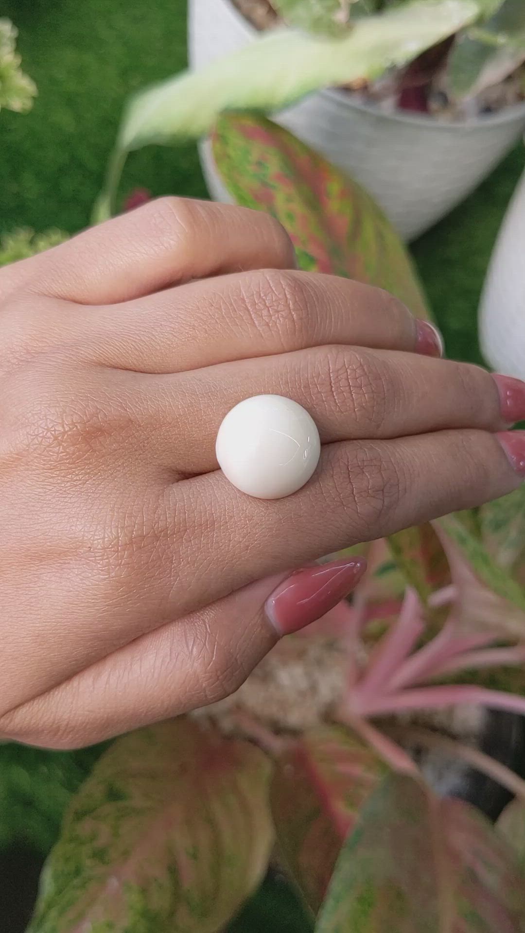 17.38 Ct. Salmon and White Cabochon Coral from Italy Size Video