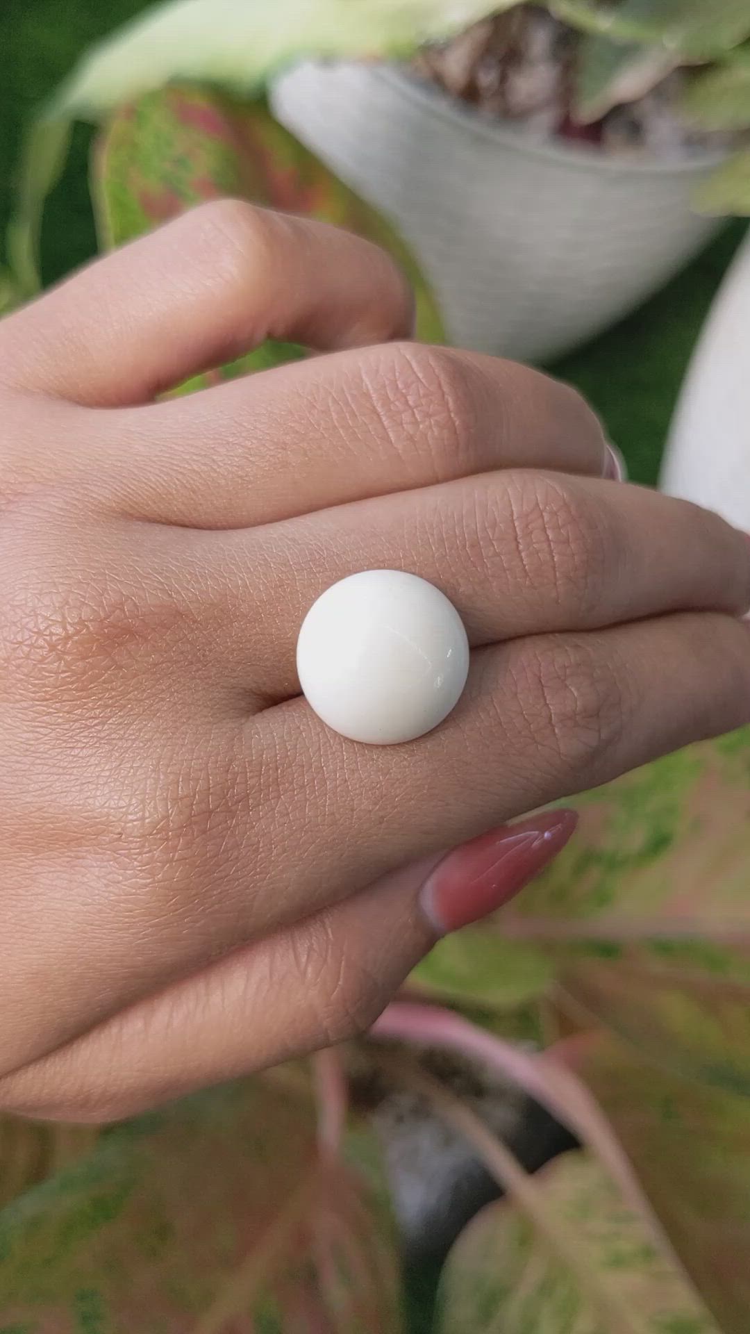 12.08 Ct. Salmon and White Cabochon Coral from Italy Size Video
