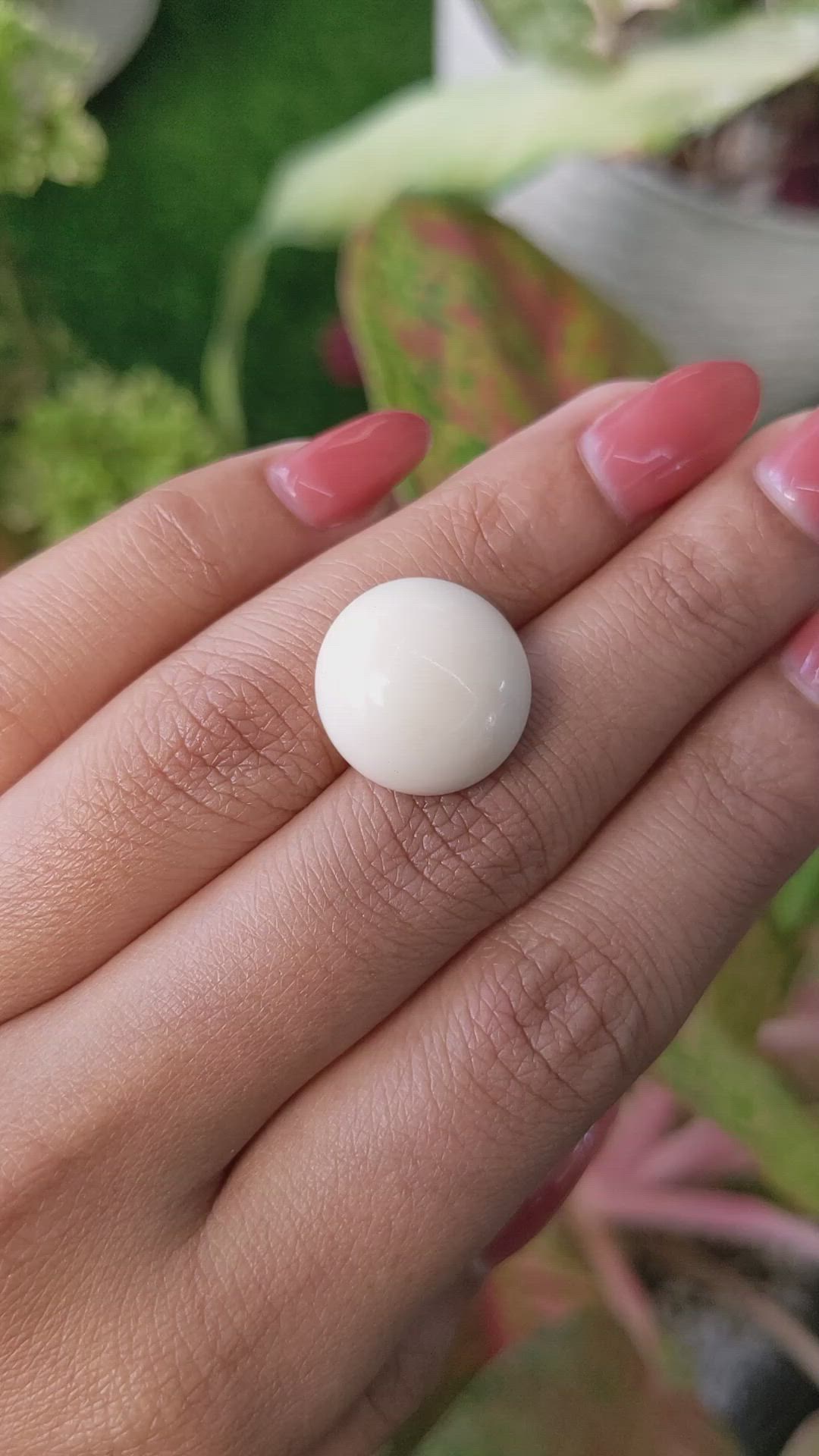 12.08 Ct. Salmon and White Cabochon Coral from Italy Size Video
