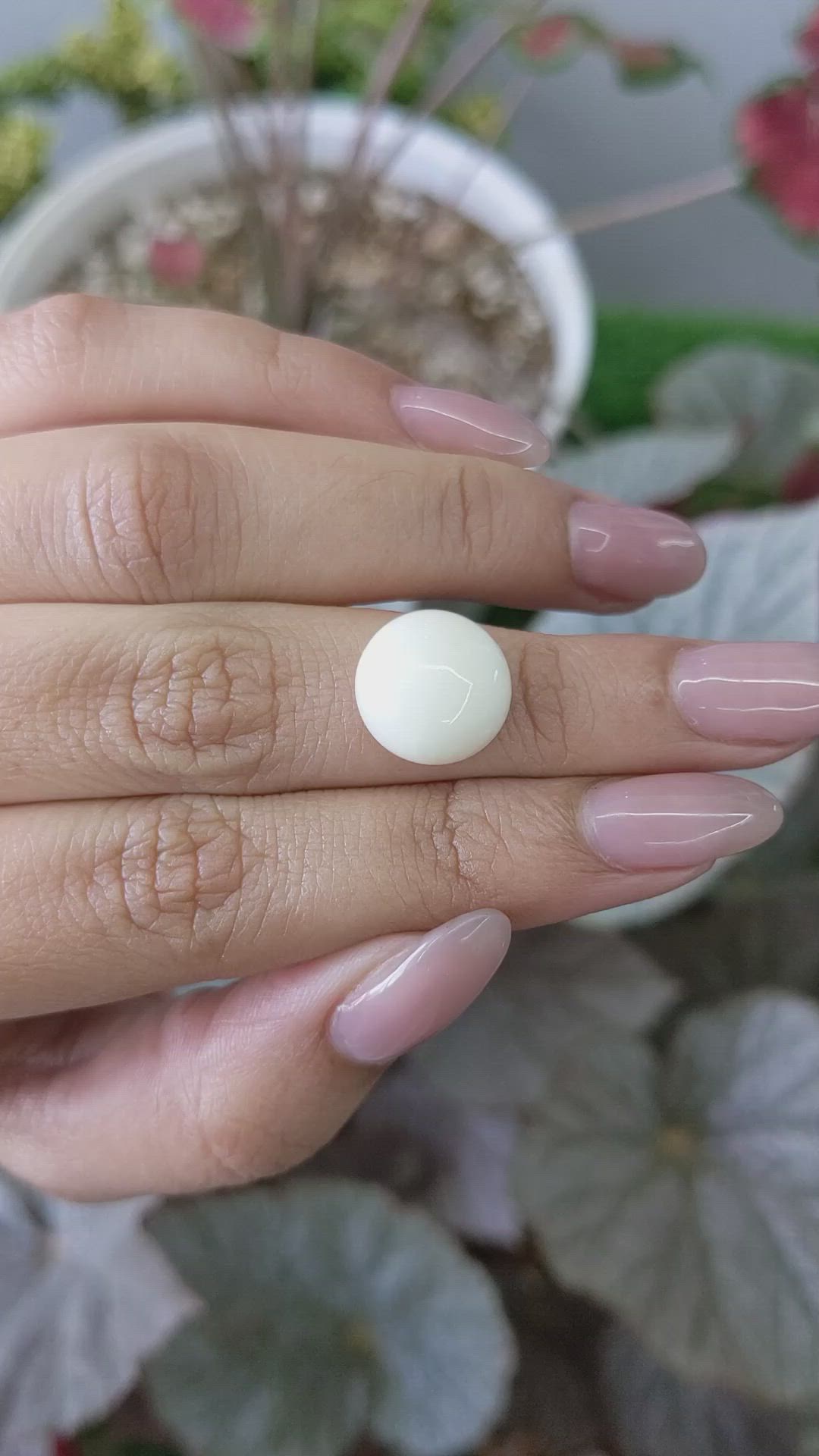 7.23 Ct. Salmon and White Cabochon Coral from Italy Size Video
