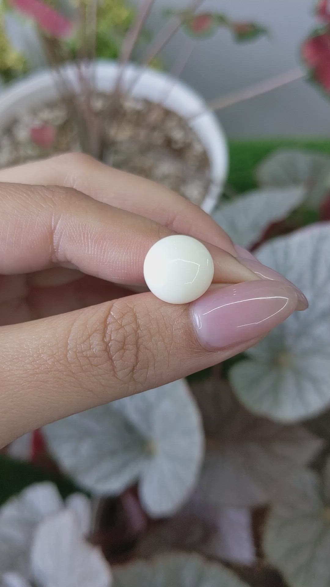 7.23 Ct. Salmon and White Cabochon Coral from Italy Size Video