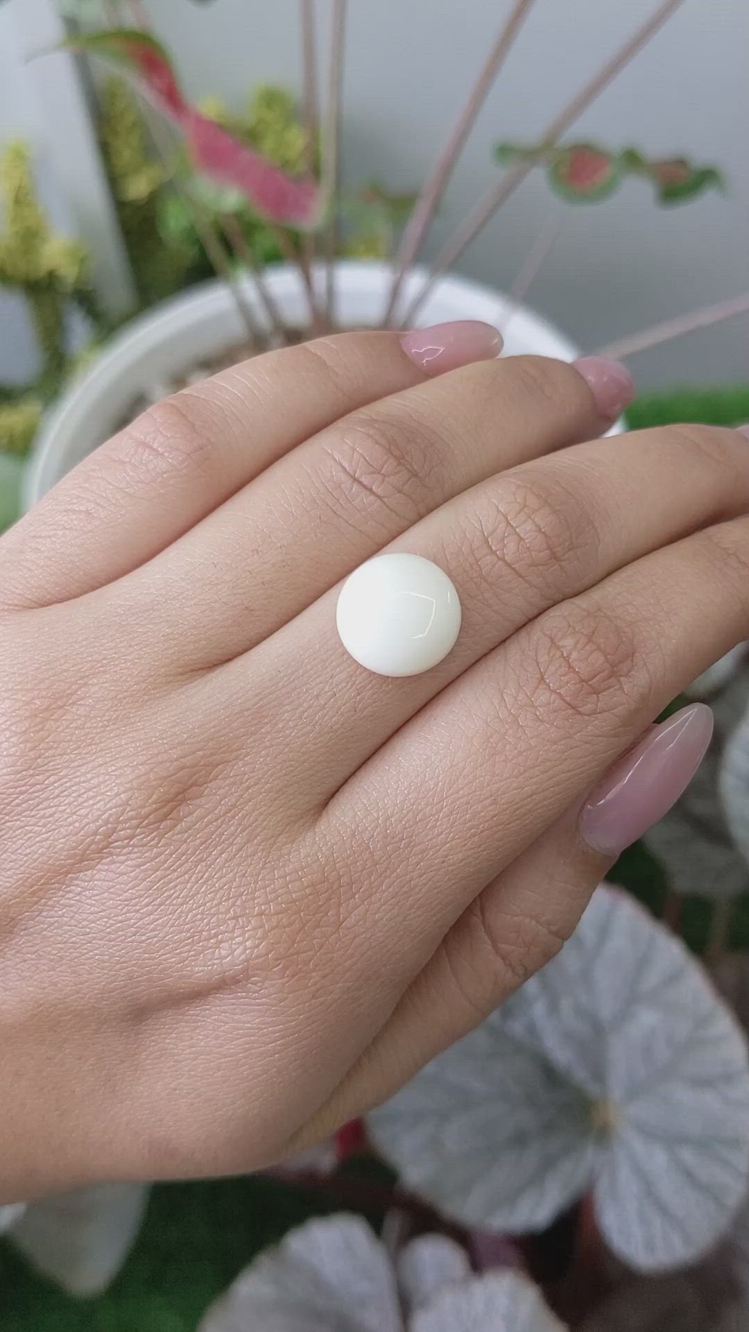 7.23 Ct. Salmon and White Cabochon Coral from Italy Size Video