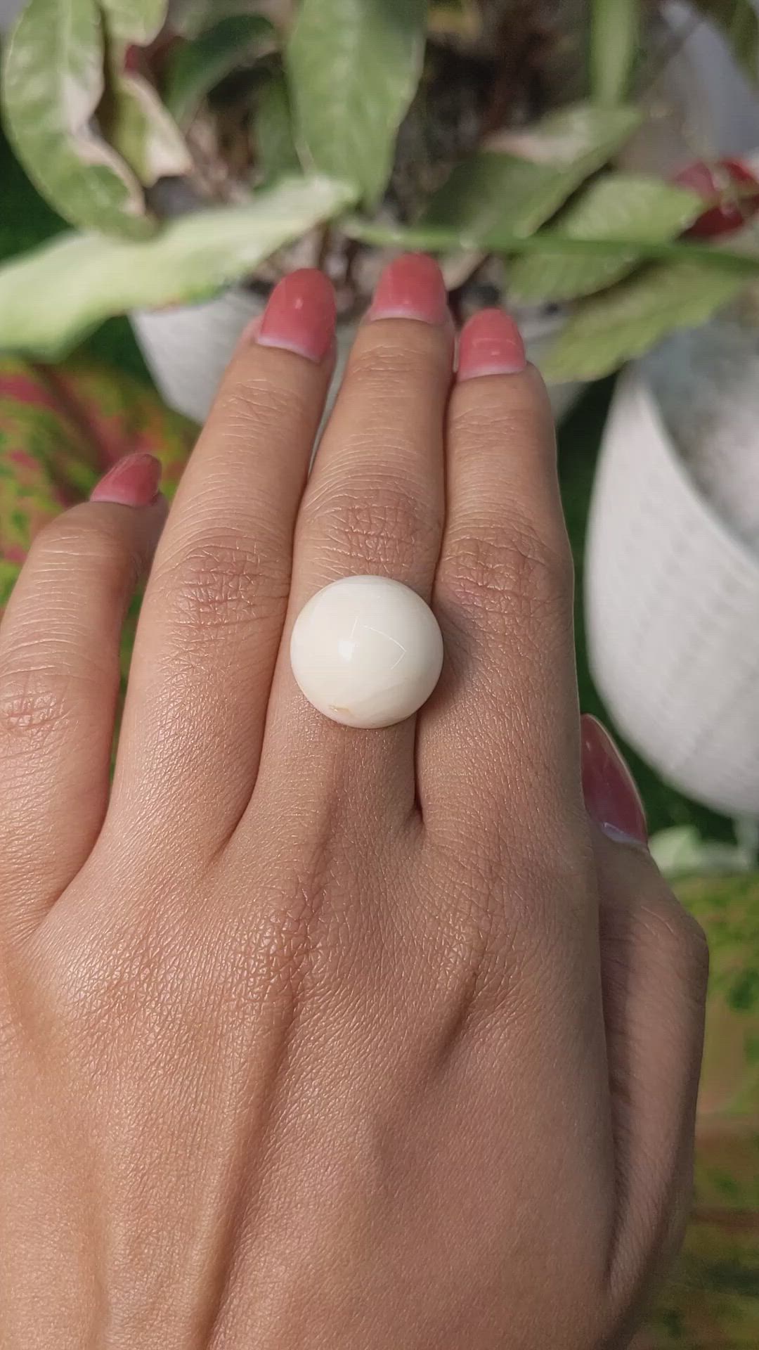 19.91 Ct. Salmon and White Cabochon Coral from Italy Size Video