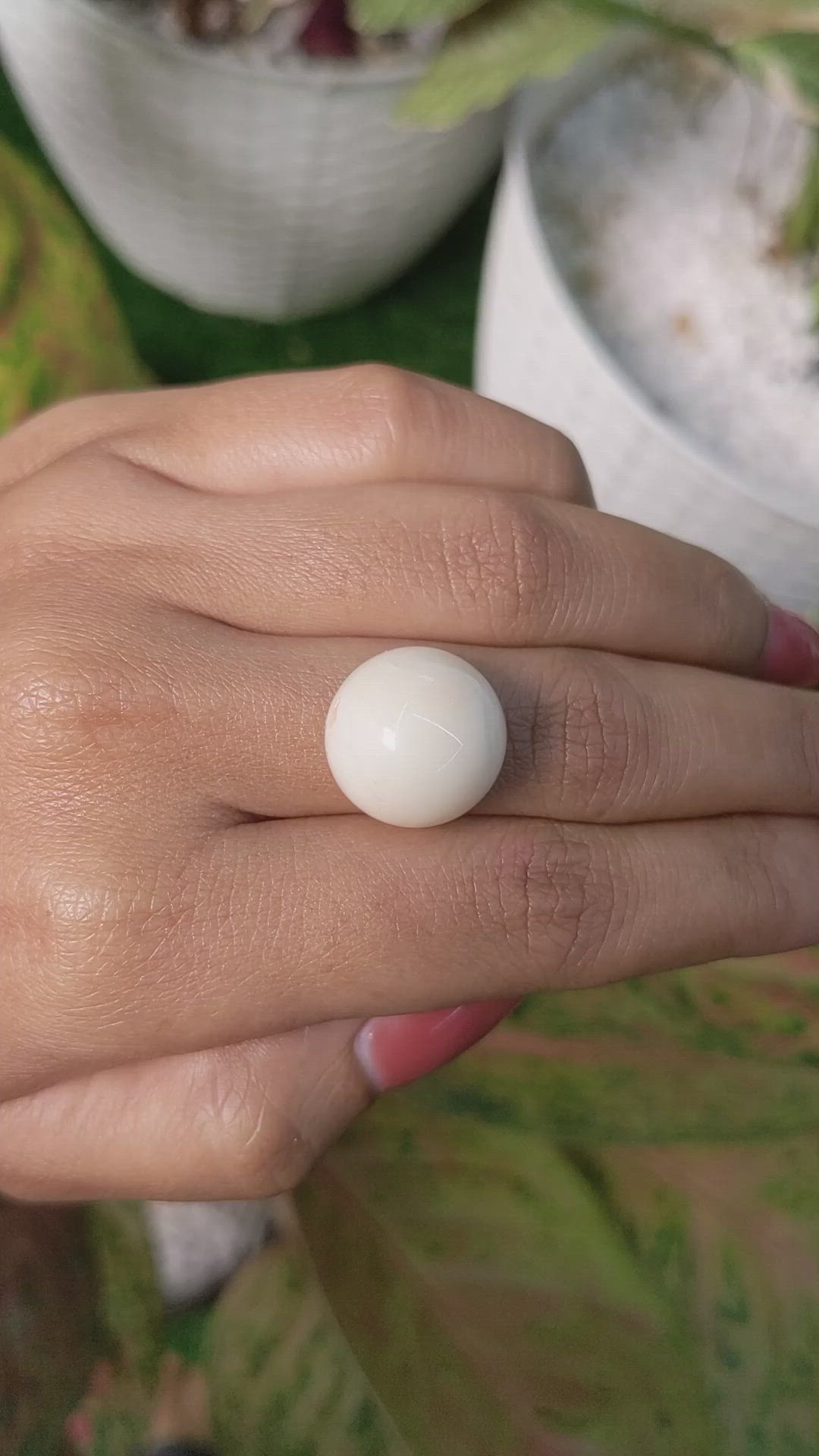 19.91 Ct. Salmon and White Cabochon Coral from Italy Size Video