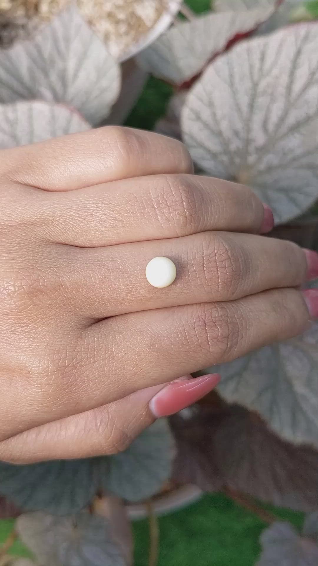 1.52 Ct. Salmon and White Cabochon Coral from Italy Size Video