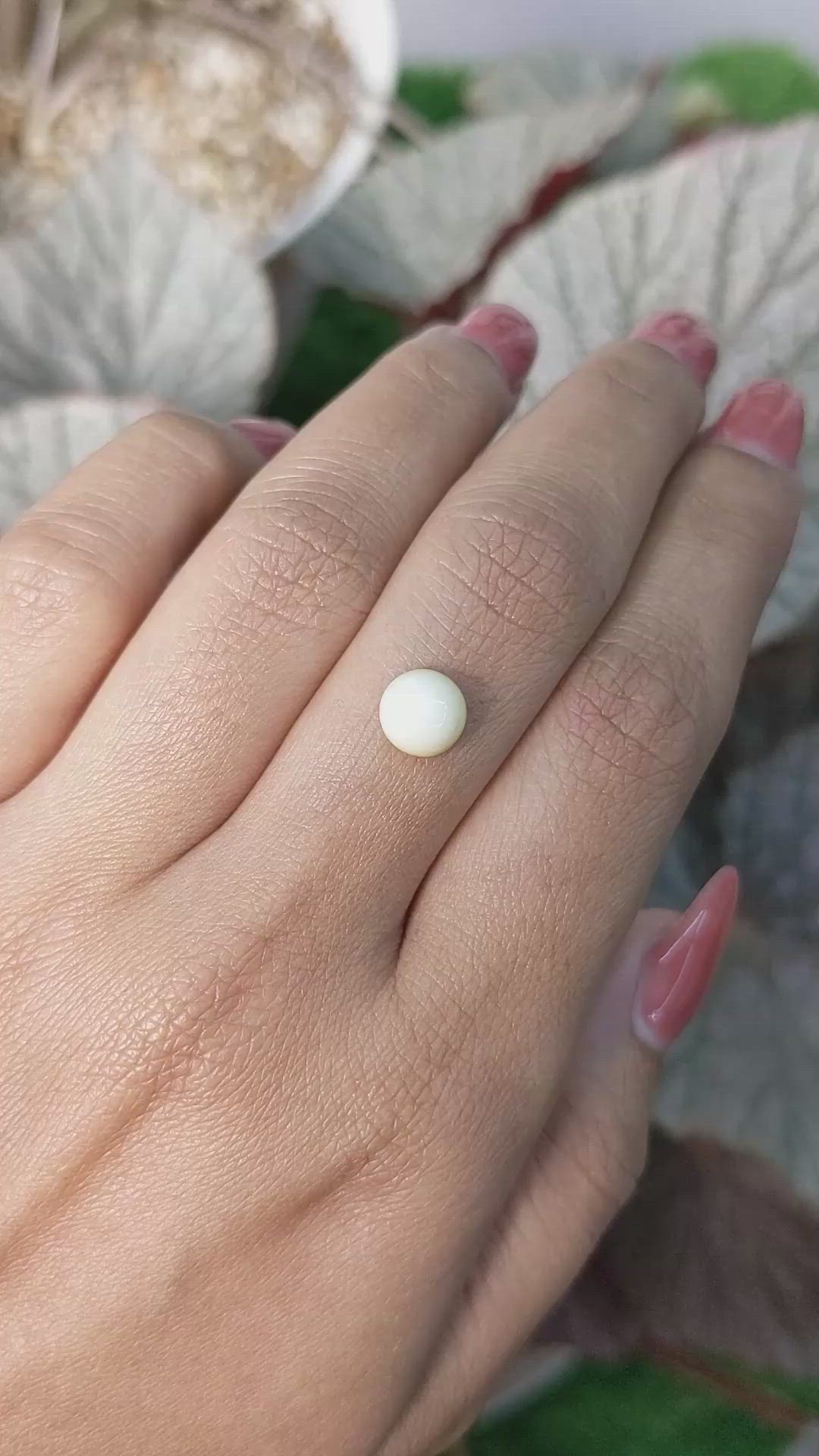 1.52 Ct. Salmon and White Cabochon Coral from Italy Size Video