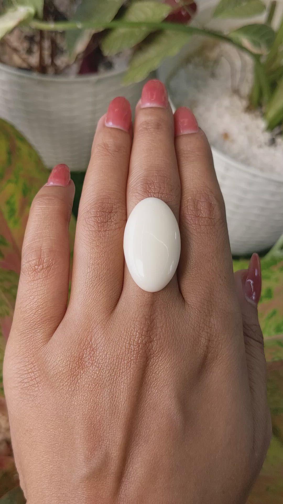 19.80 Ct. Salmon and White Cabochon Coral from Italy Size Video