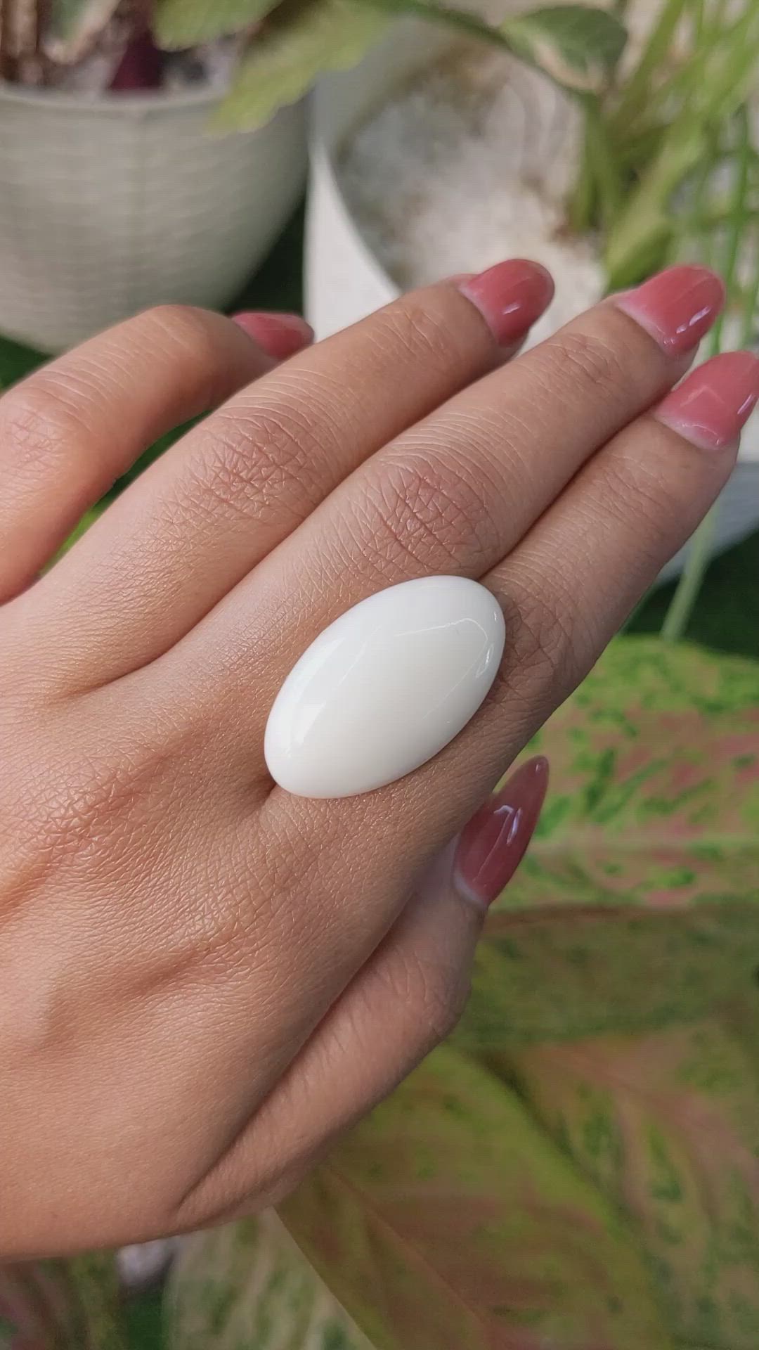 19.80 Ct. Salmon and White Cabochon Coral from Italy Size Video