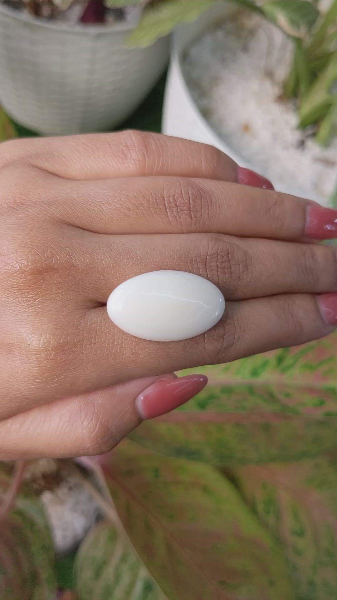 19.80 Ct. Salmon and White Cabochon Coral from Italy Size Video