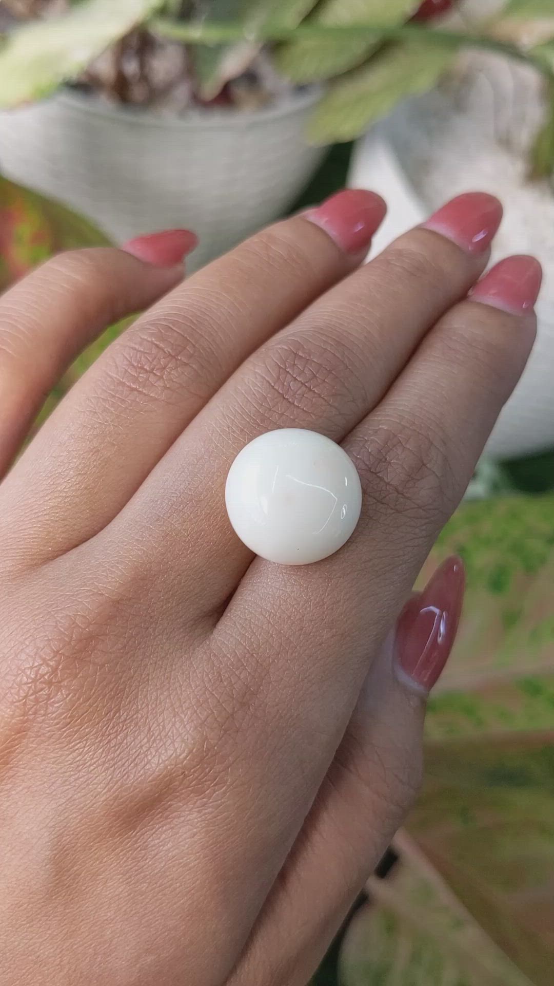 18.70 Ct. Salmon and White Cabochon Coral from Italy Size Video