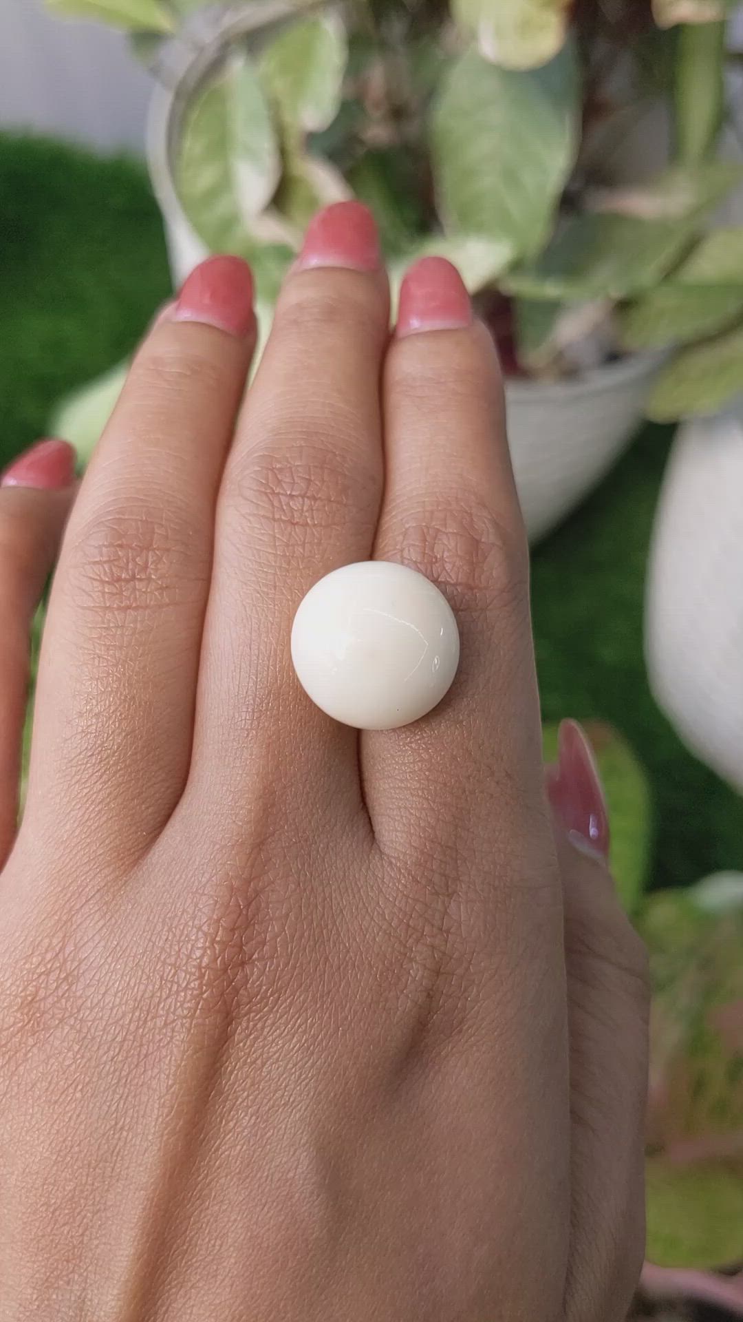 18.70 Ct. Salmon and White Cabochon Coral from Italy Size Video