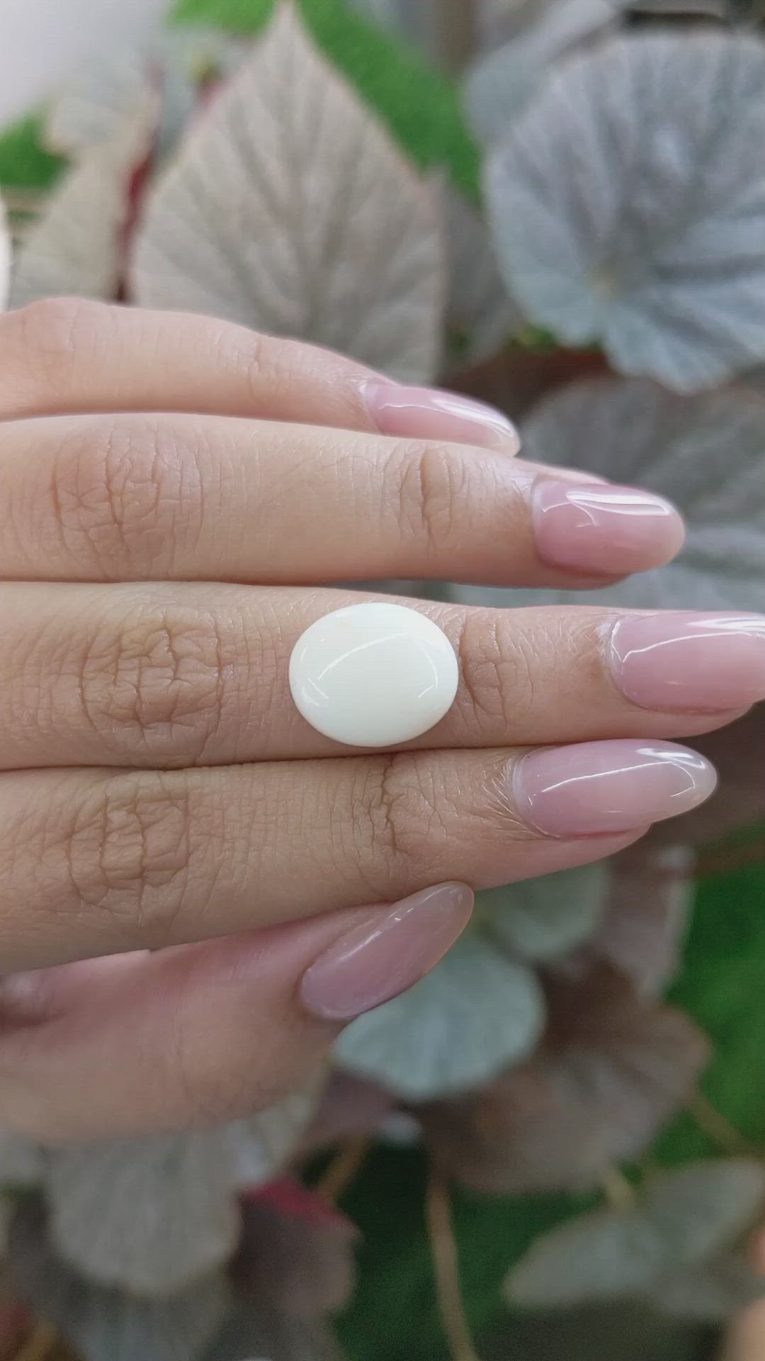 6.06 Ct. Salmon and White Cabochon Coral from Italy Size Video