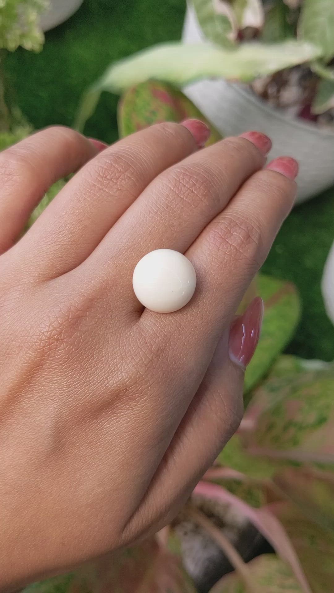 13.08 Ct. Salmon and White Cabochon Coral from Italy Size Video